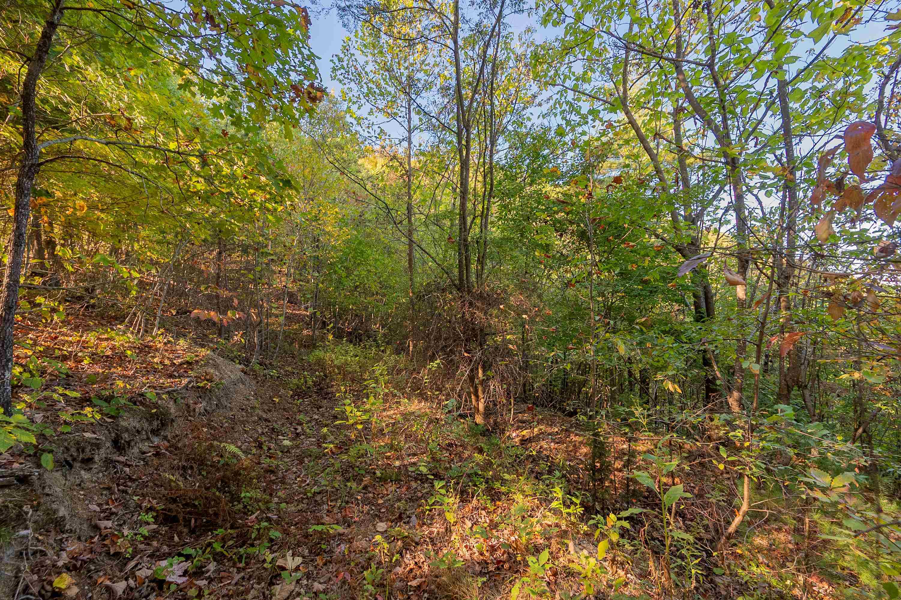 Tbd Lick Ridge Road Check VA 24072
