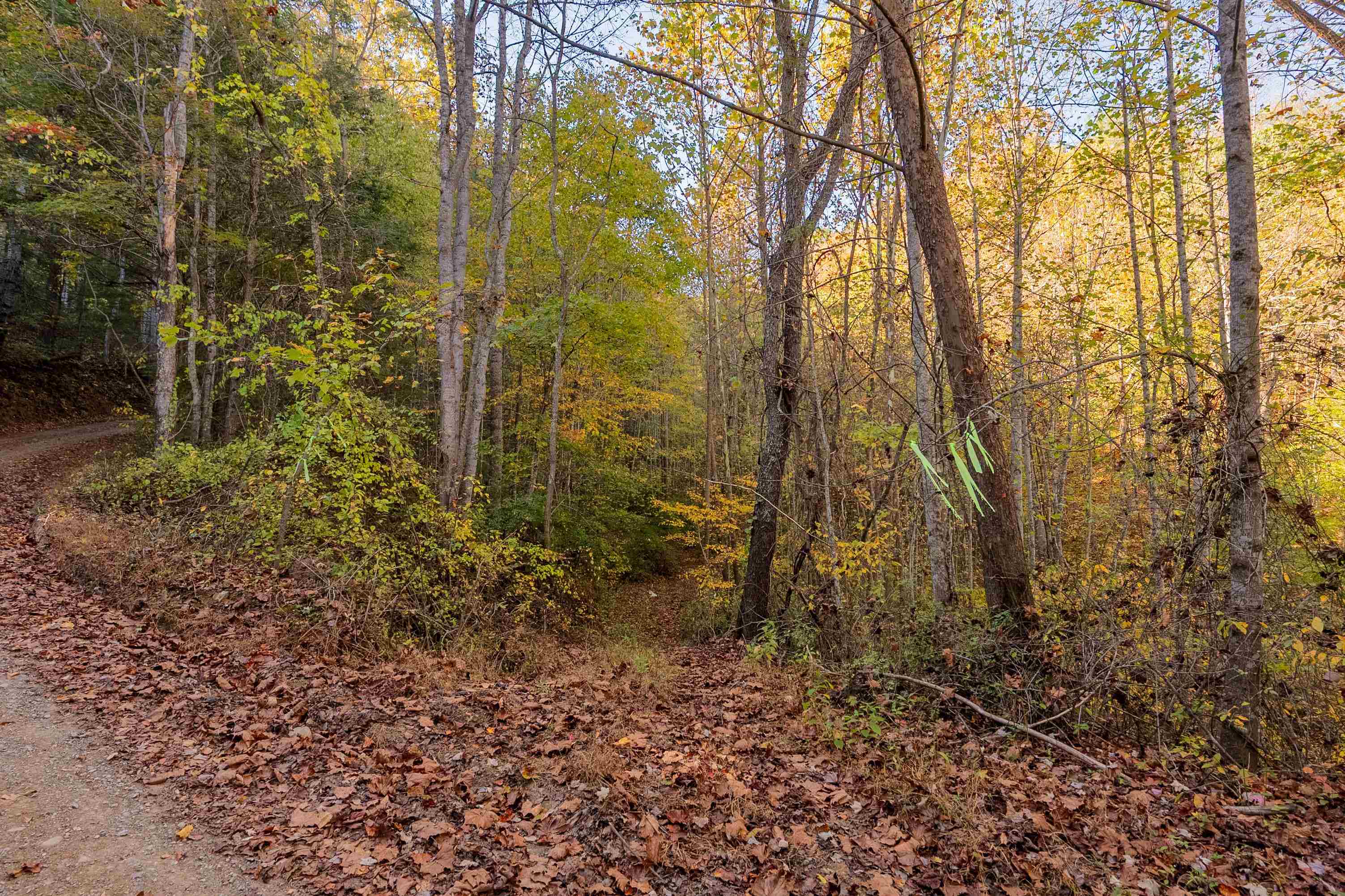 Tbd Lick Ridge Road Check VA 24072