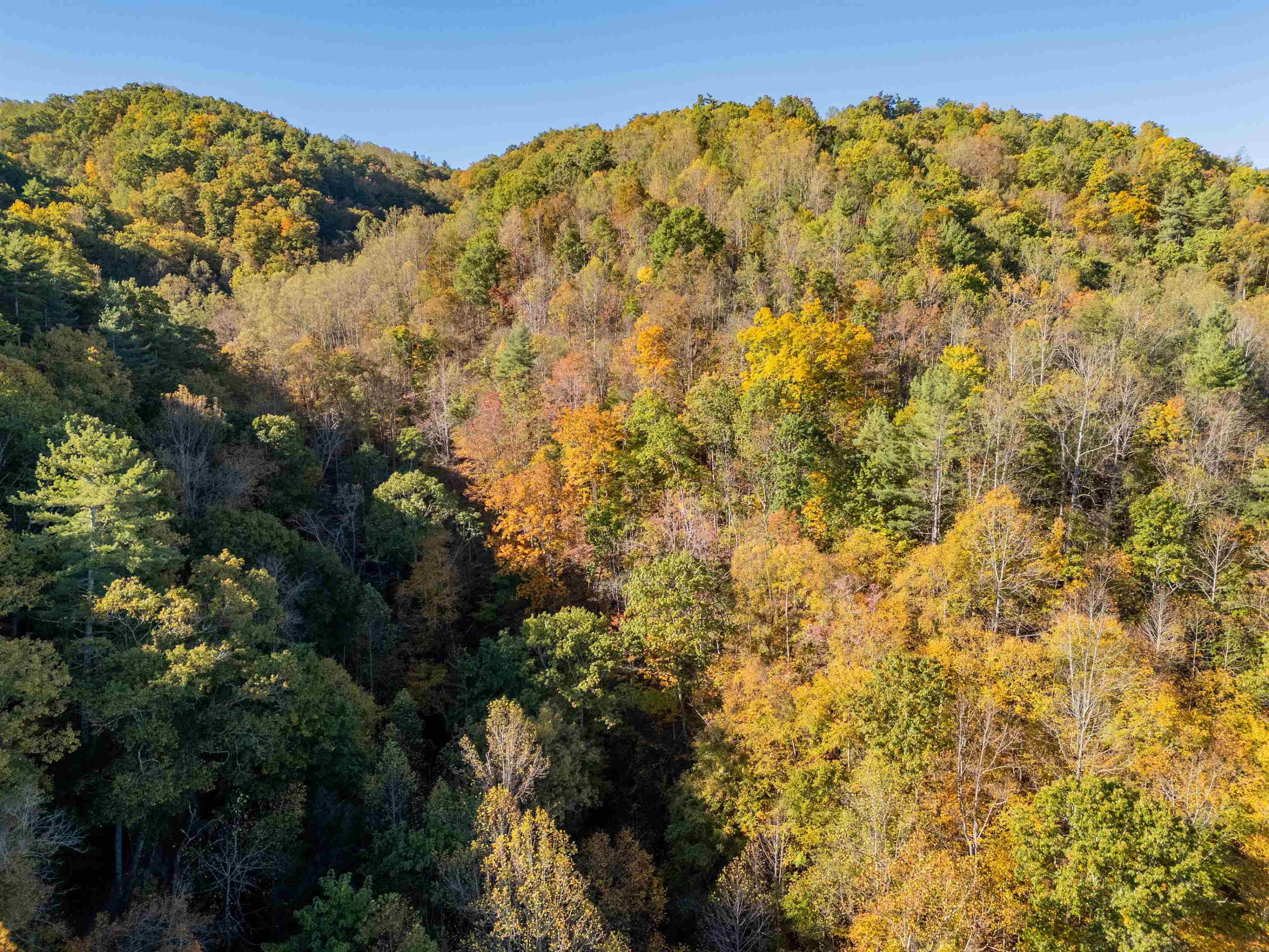 Tbd Lick Ridge Road Check VA 24072