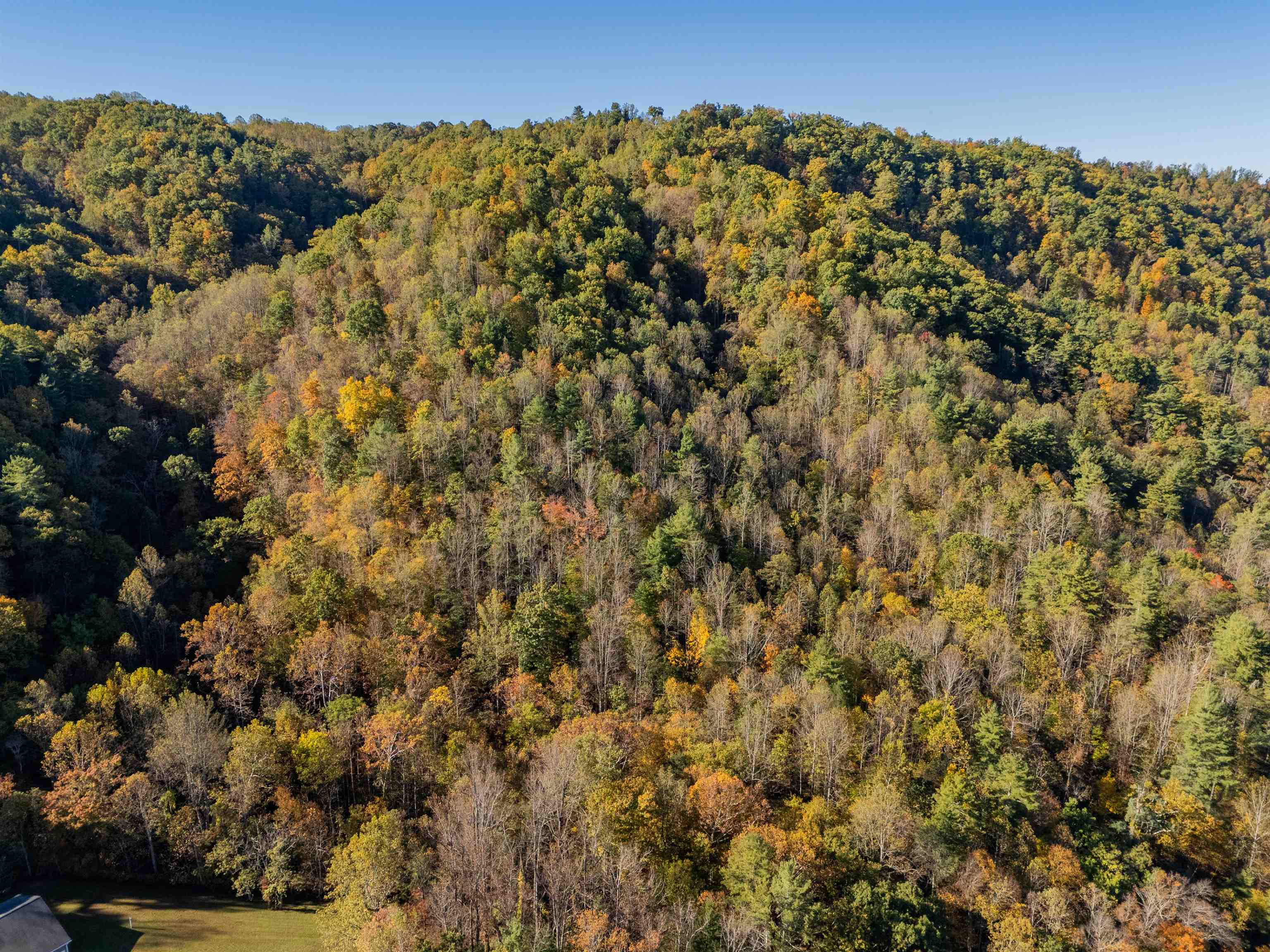 Tbd Lick Ridge Road Check VA 24072