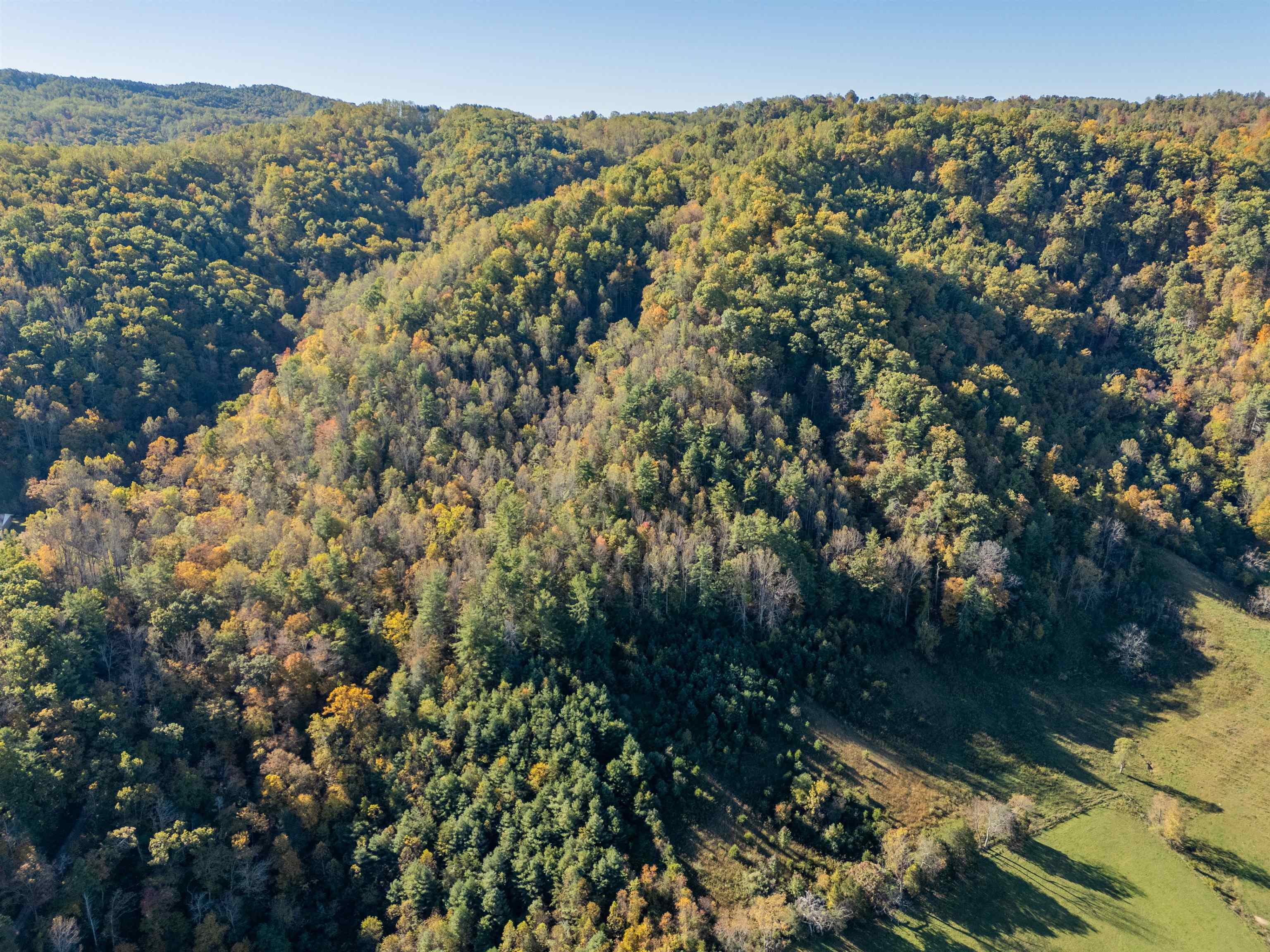 Tbd Lick Ridge Road Check VA 24072