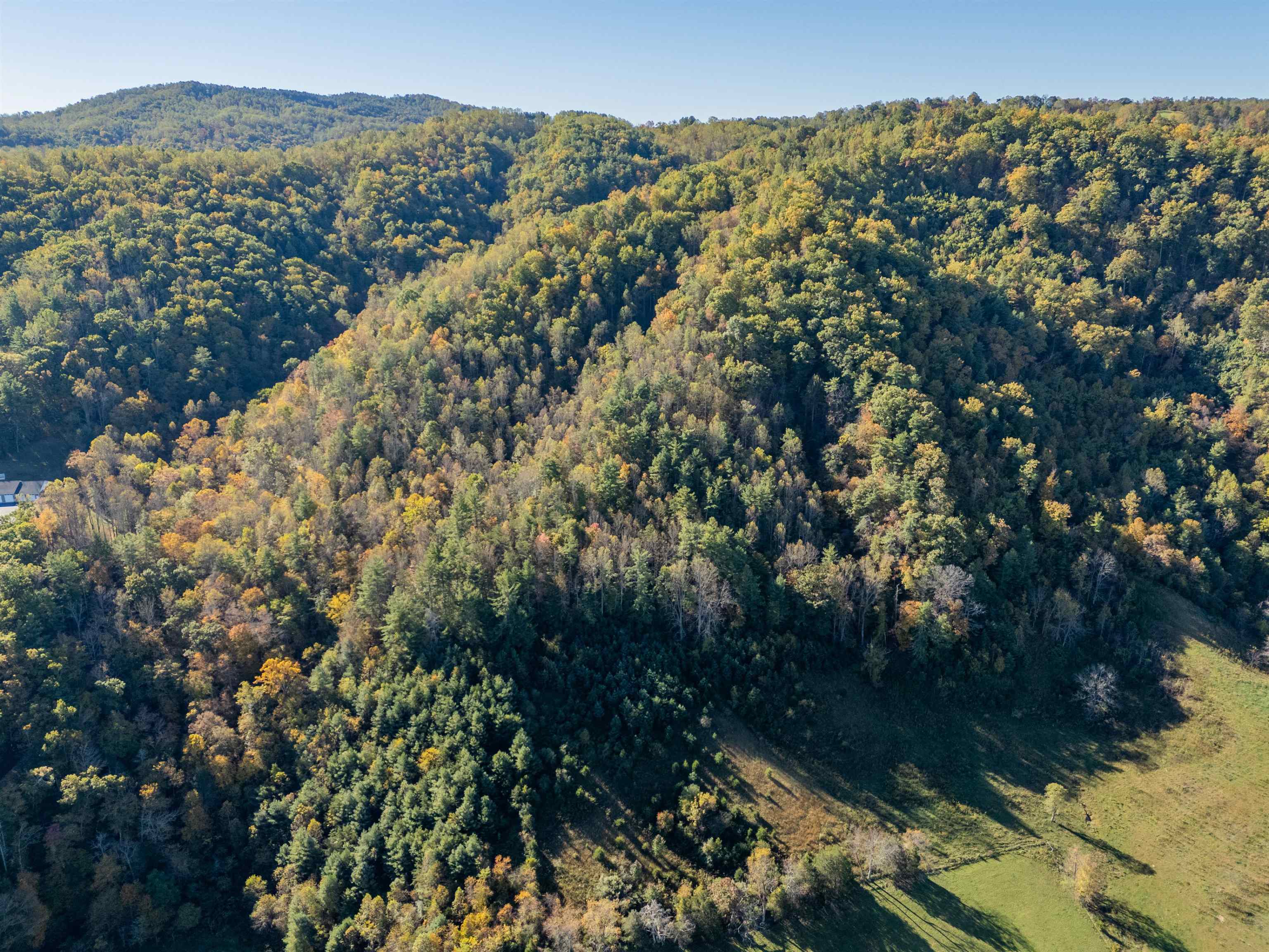 Tbd Lick Ridge Road Check VA 24072
