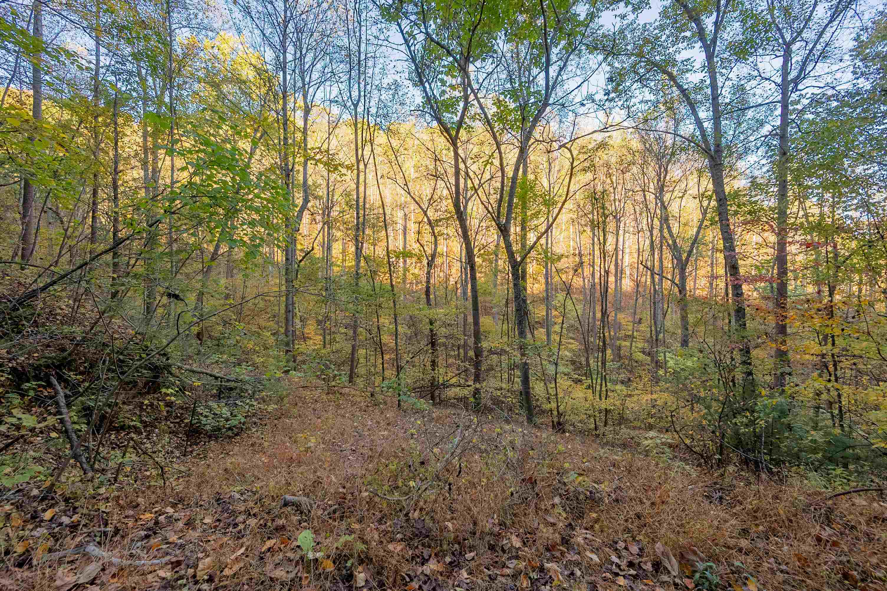 Tbd Lick Ridge Road Check VA 24072