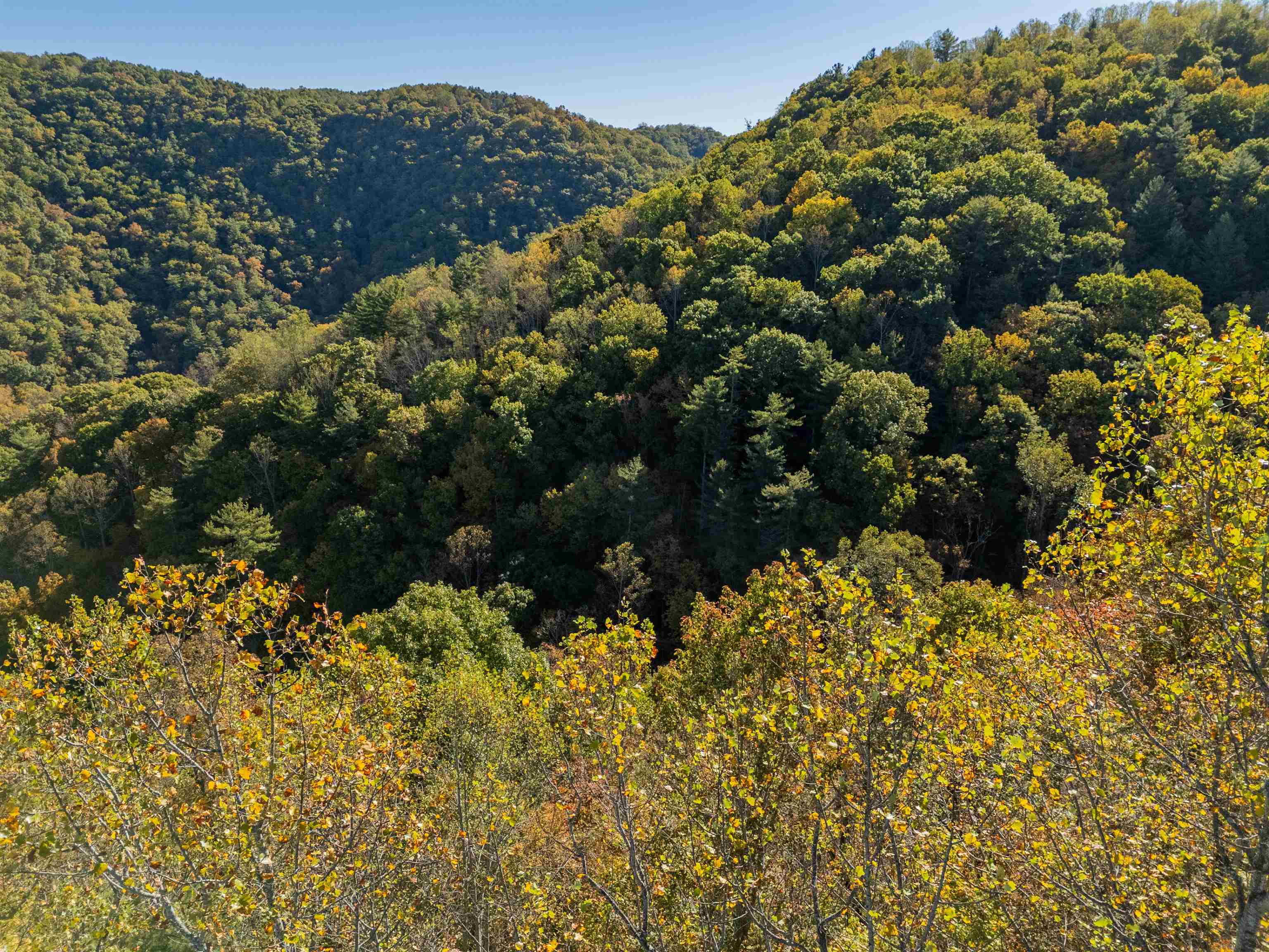 Tbd Lick Ridge Road Check VA 24072