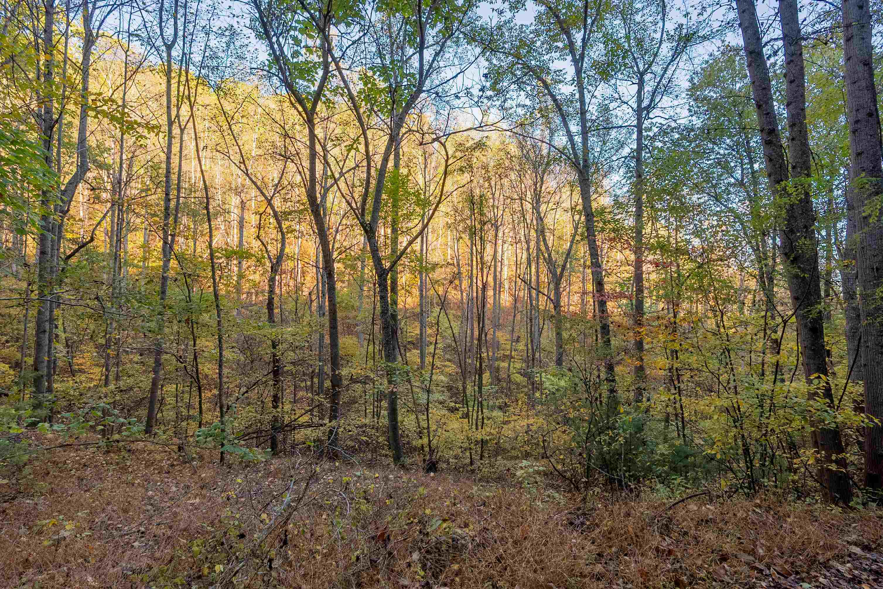 Tbd Lick Ridge Road Check VA 24072