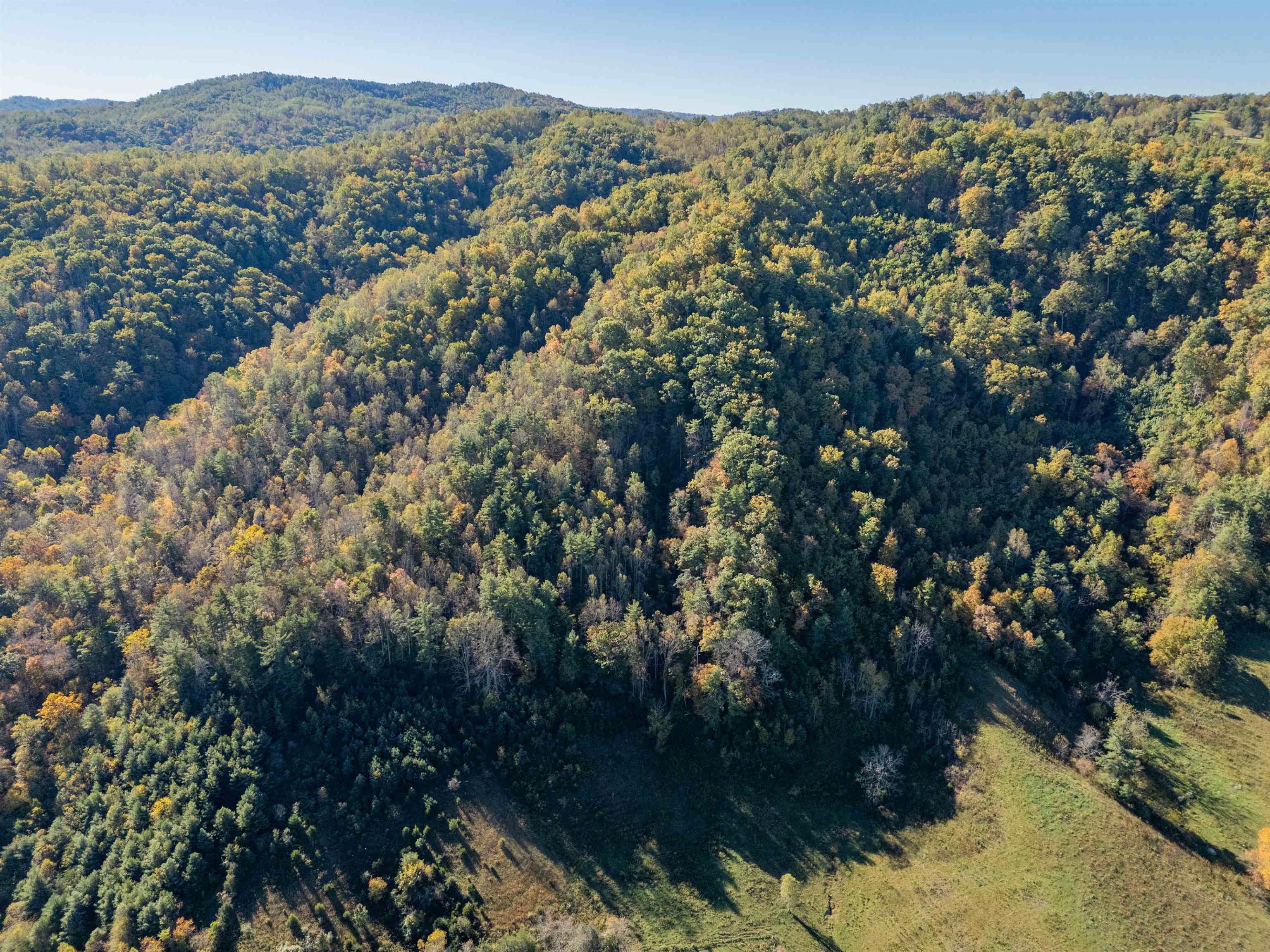 Tbd Lick Ridge Road Check VA 24072