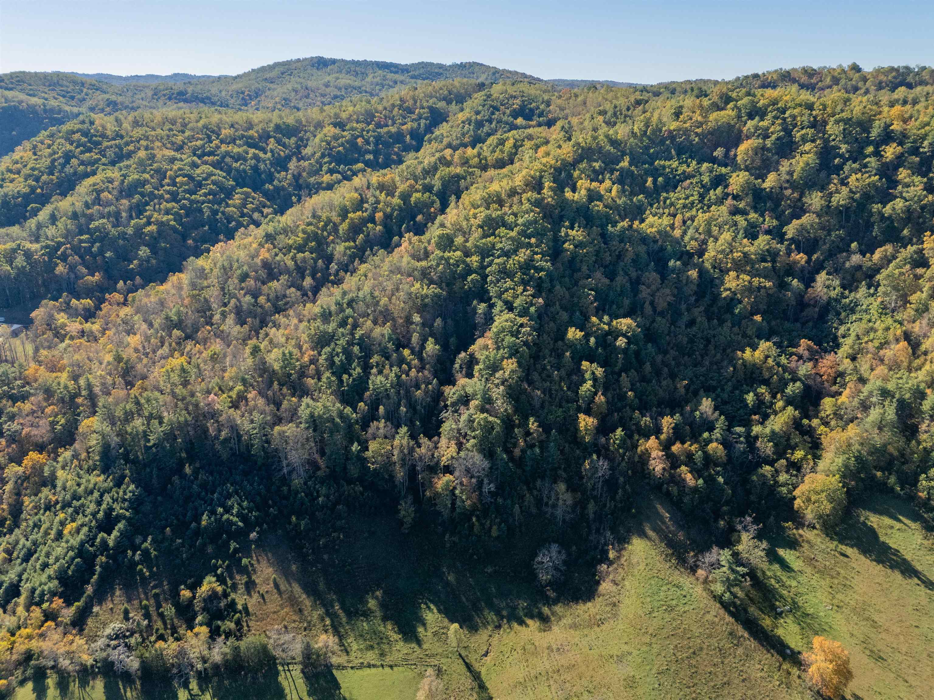 Tbd Lick Ridge Road Check VA 24072