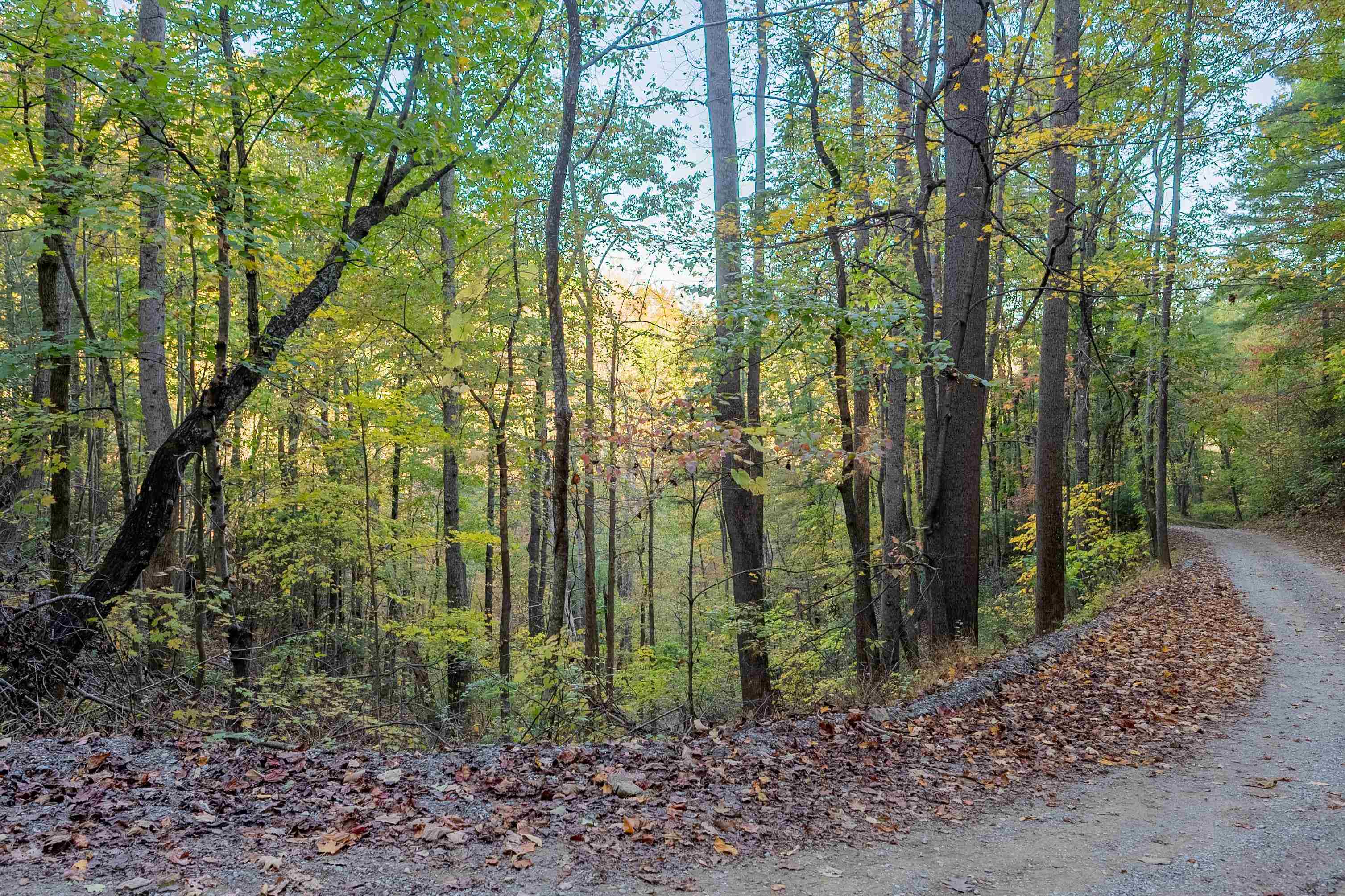 Tbd Lick Ridge Road Check VA 24072