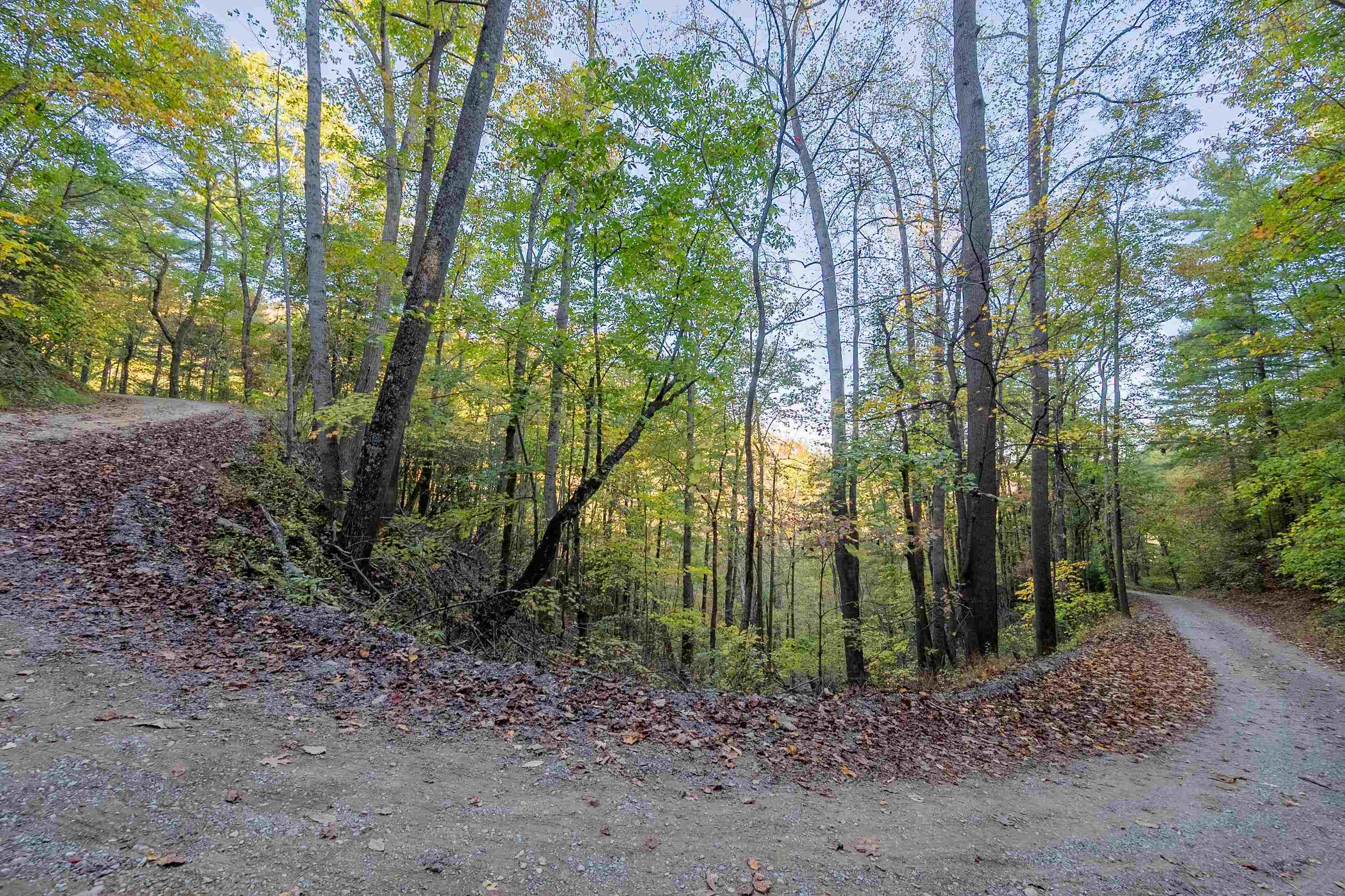 Tbd Lick Ridge Road Check VA 24072