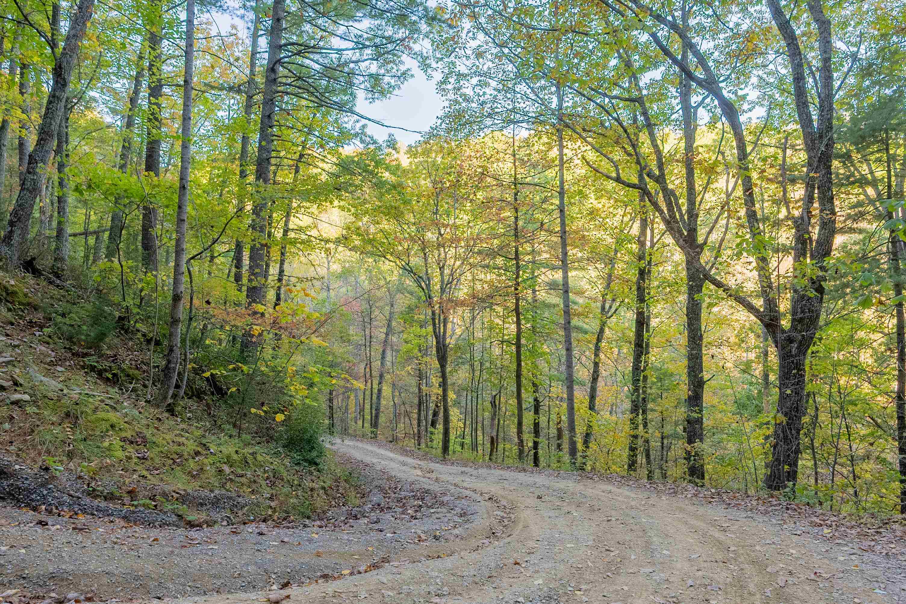 Tbd Lick Ridge Road Check VA 24072