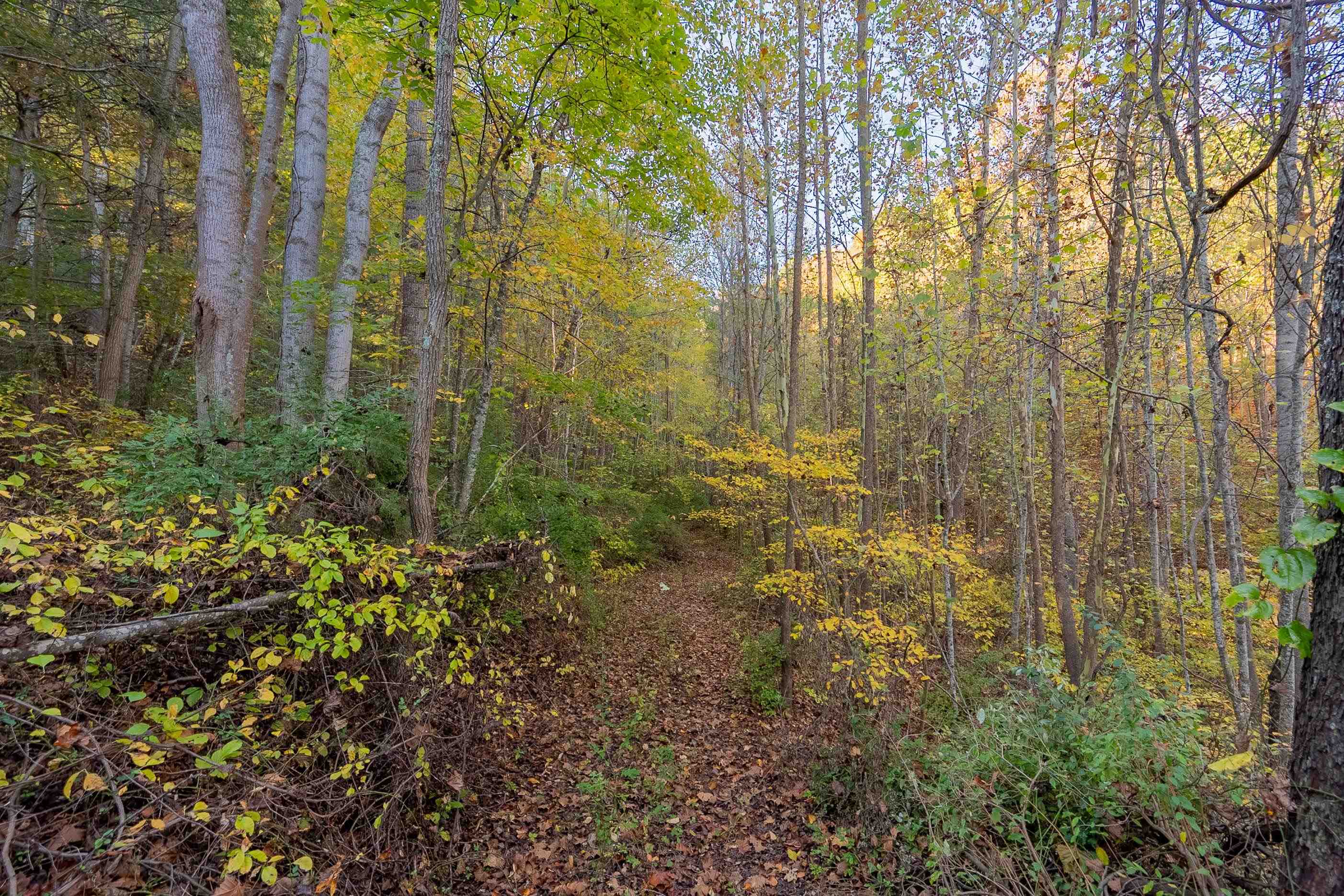 Tbd Lick Ridge Road Check VA 24072