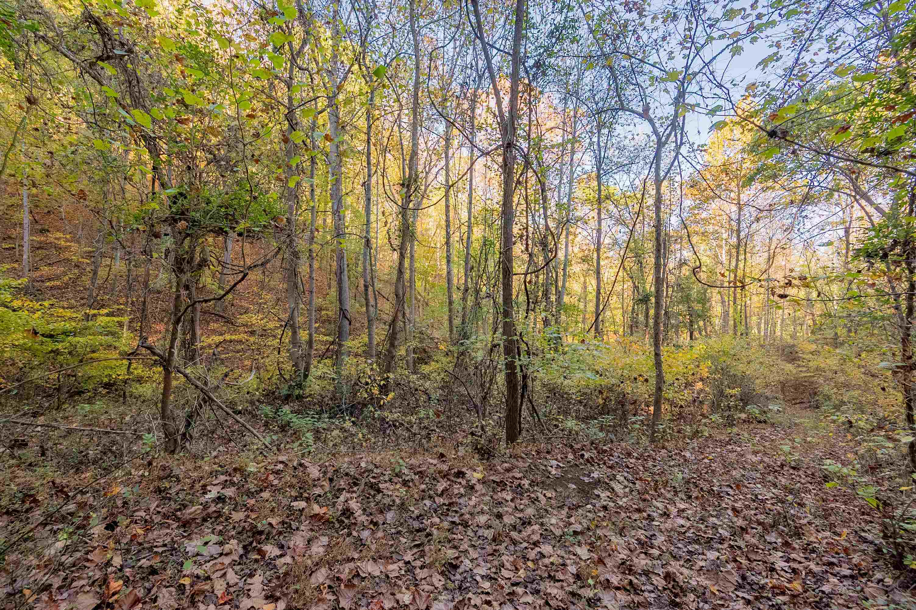 Tbd Lick Ridge Road Check VA 24072