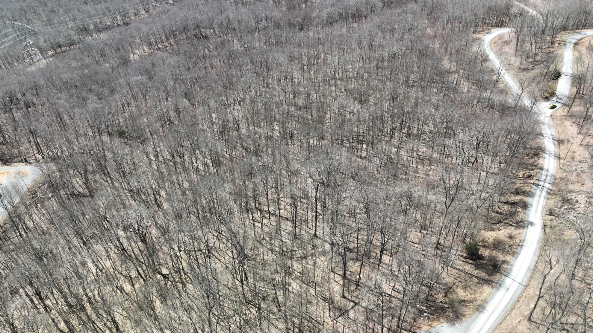 Tbd Cove Creek Road Bluefield VA 24605