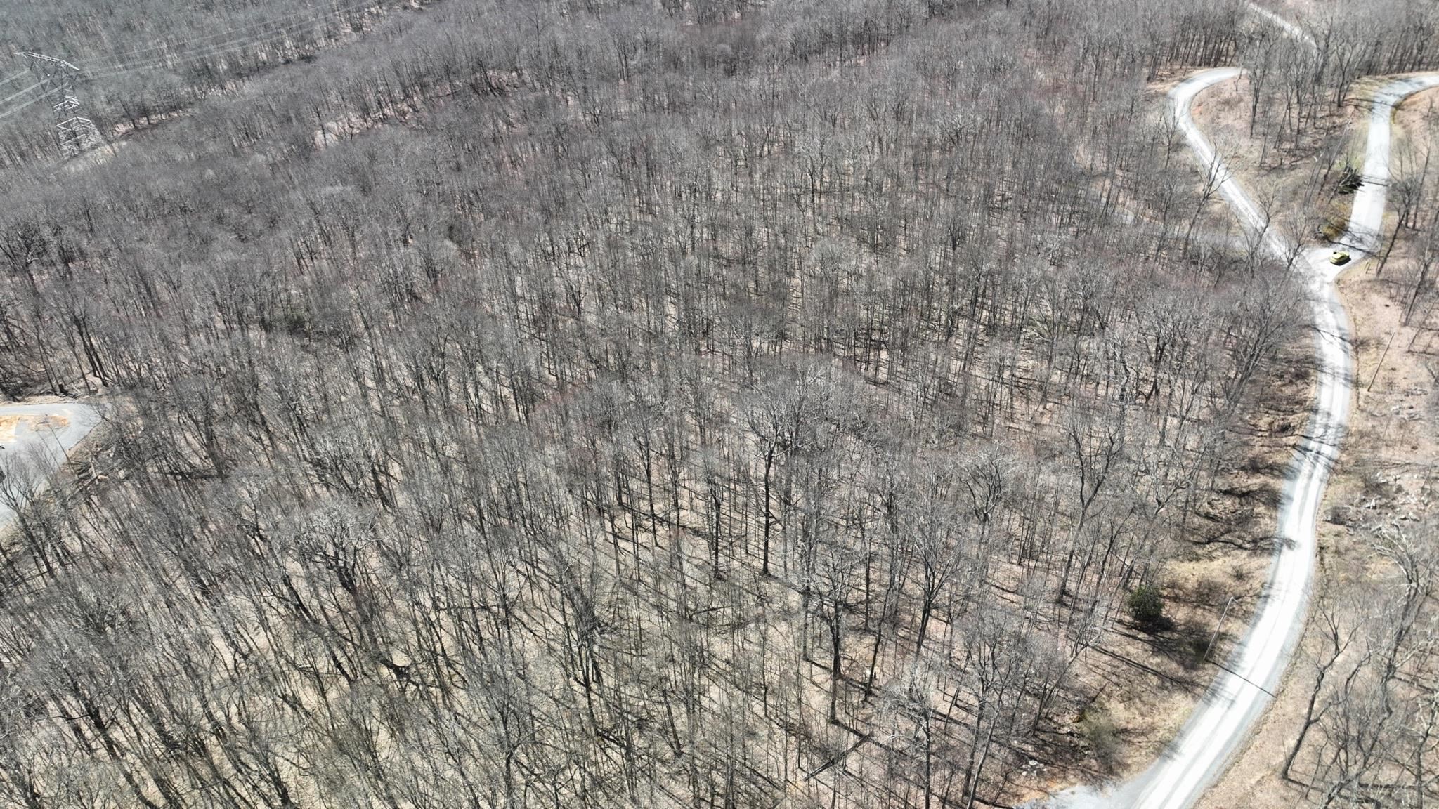 Tbd Cove Creek Road Bluefield VA 24605