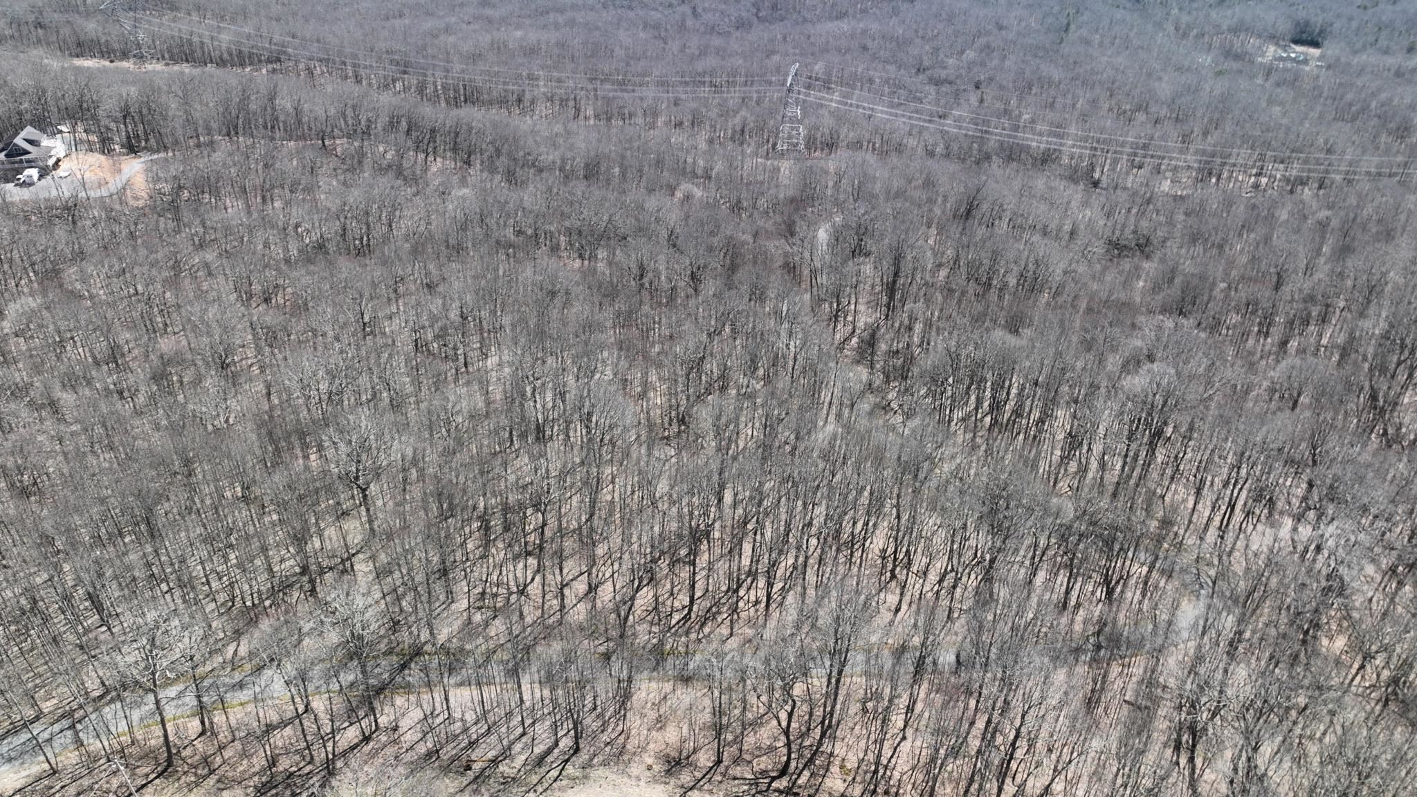 Tbd Cove Creek Road Bluefield VA 24605