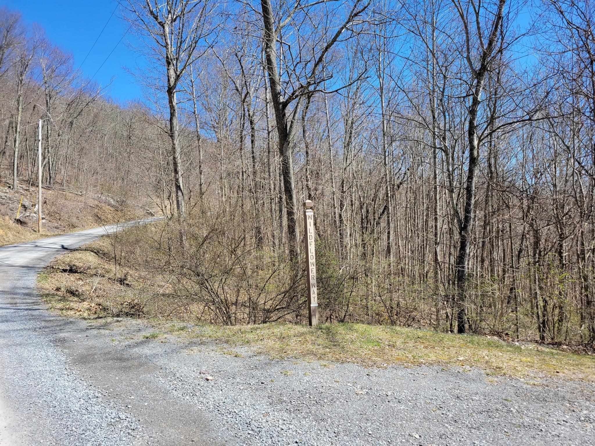 Tbd Cove Creek Road Bluefield VA 24605