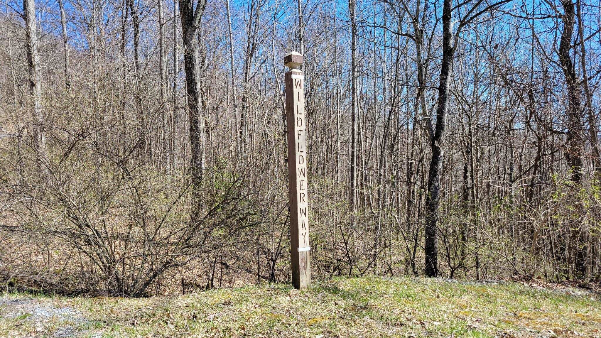 Tbd Cove Creek Road Bluefield VA 24605