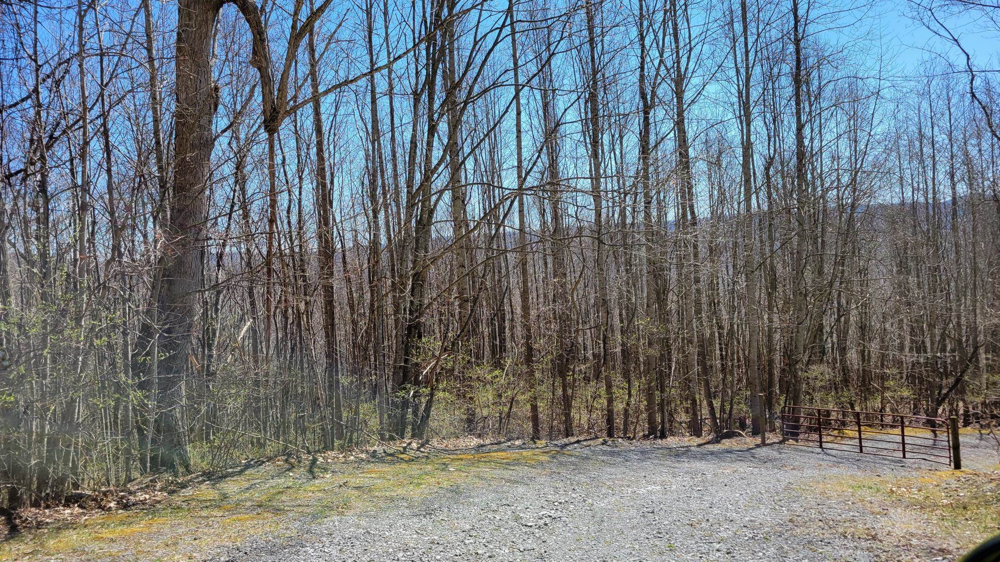 Tbd Cove Creek Road Bluefield VA 24605