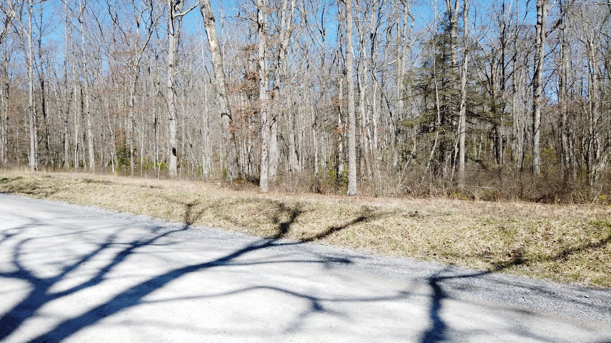 Tbd Cove Creek Road Bluefield VA 24605
