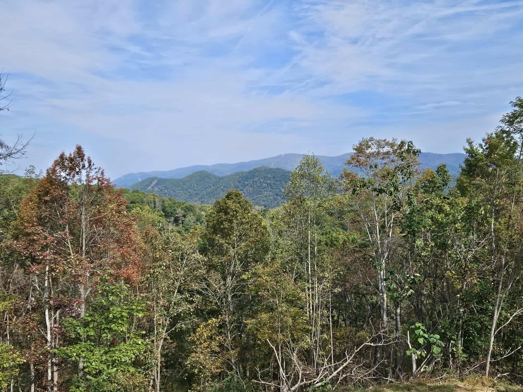 0 Georges Run Road Shawsville VA 24162