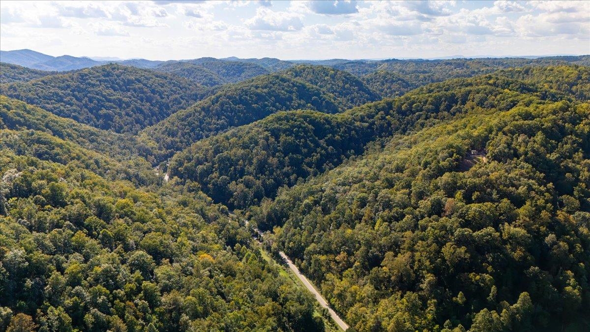 0 Georges Run Road Shawsville VA 24162
