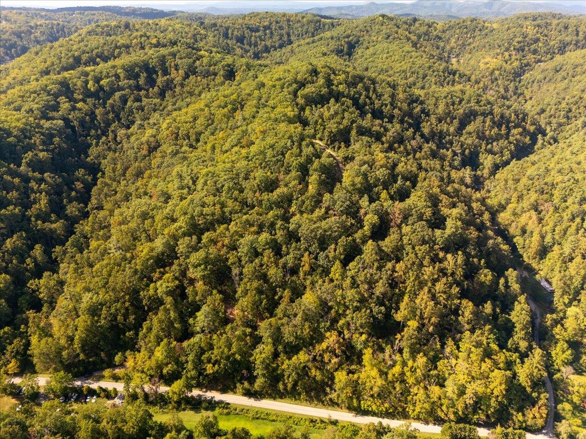 0 Georges Run Road Shawsville VA 24162