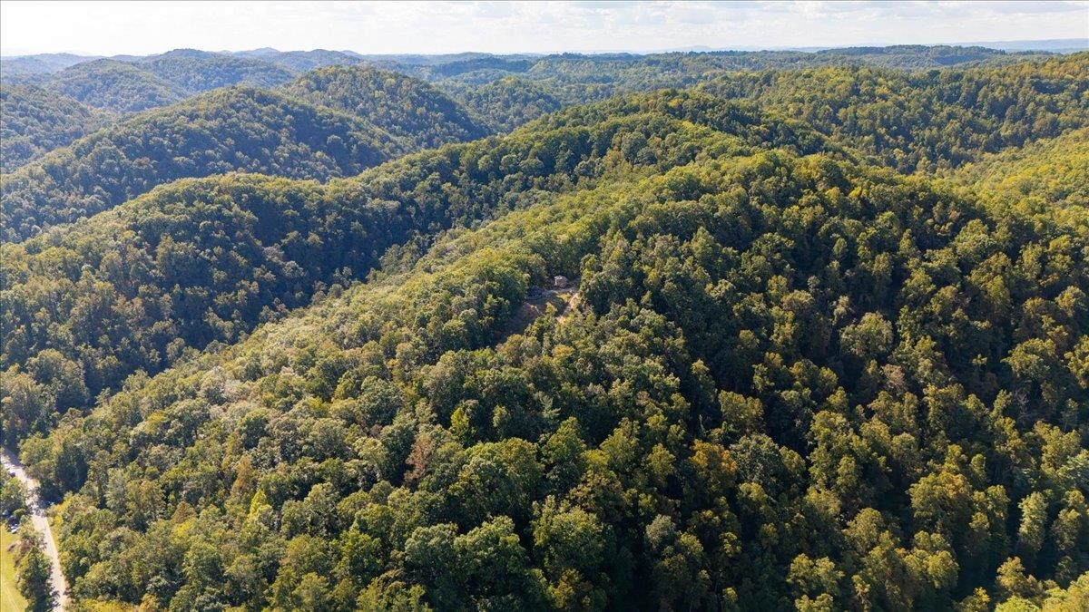 0 Georges Run Road Shawsville VA 24162