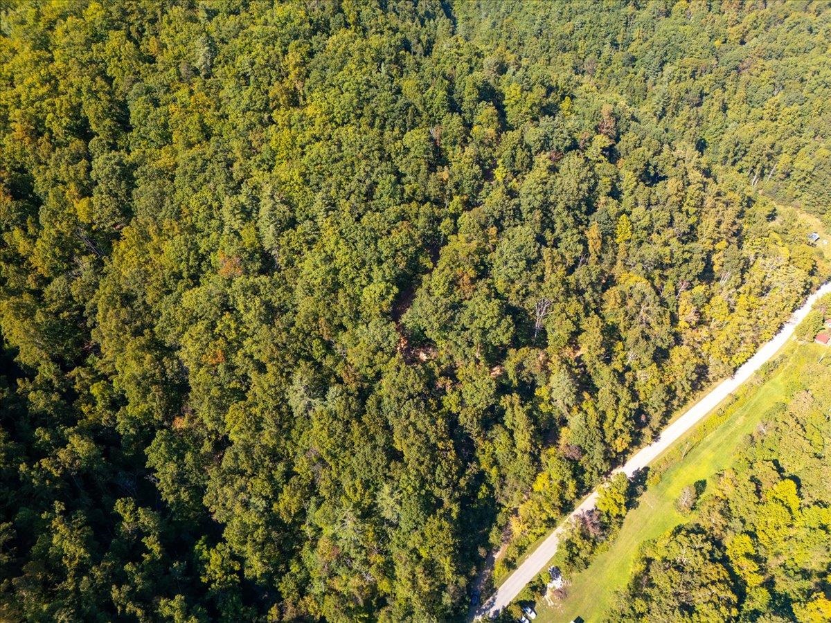 0 Georges Run Road Shawsville VA 24162