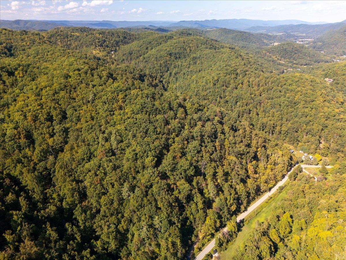 0 Georges Run Road Shawsville VA 24162
