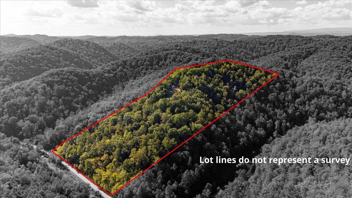 0 Georges Run Road Shawsville VA 24162