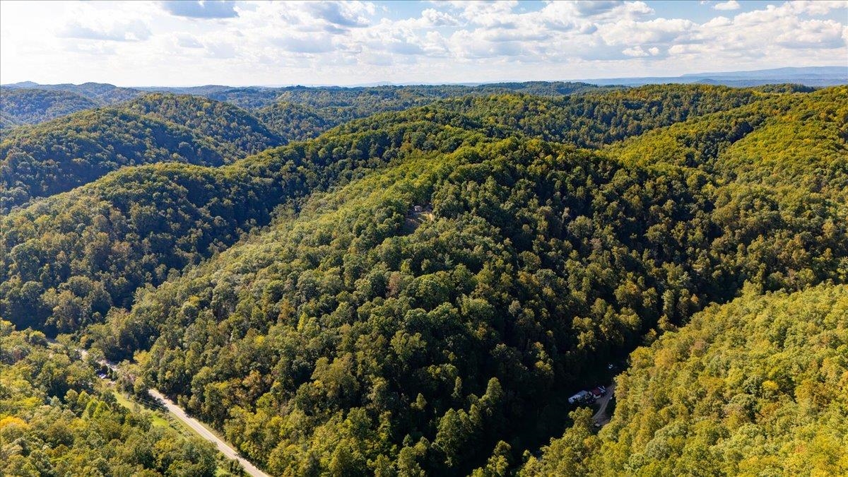 0 Georges Run Road Shawsville VA 24162