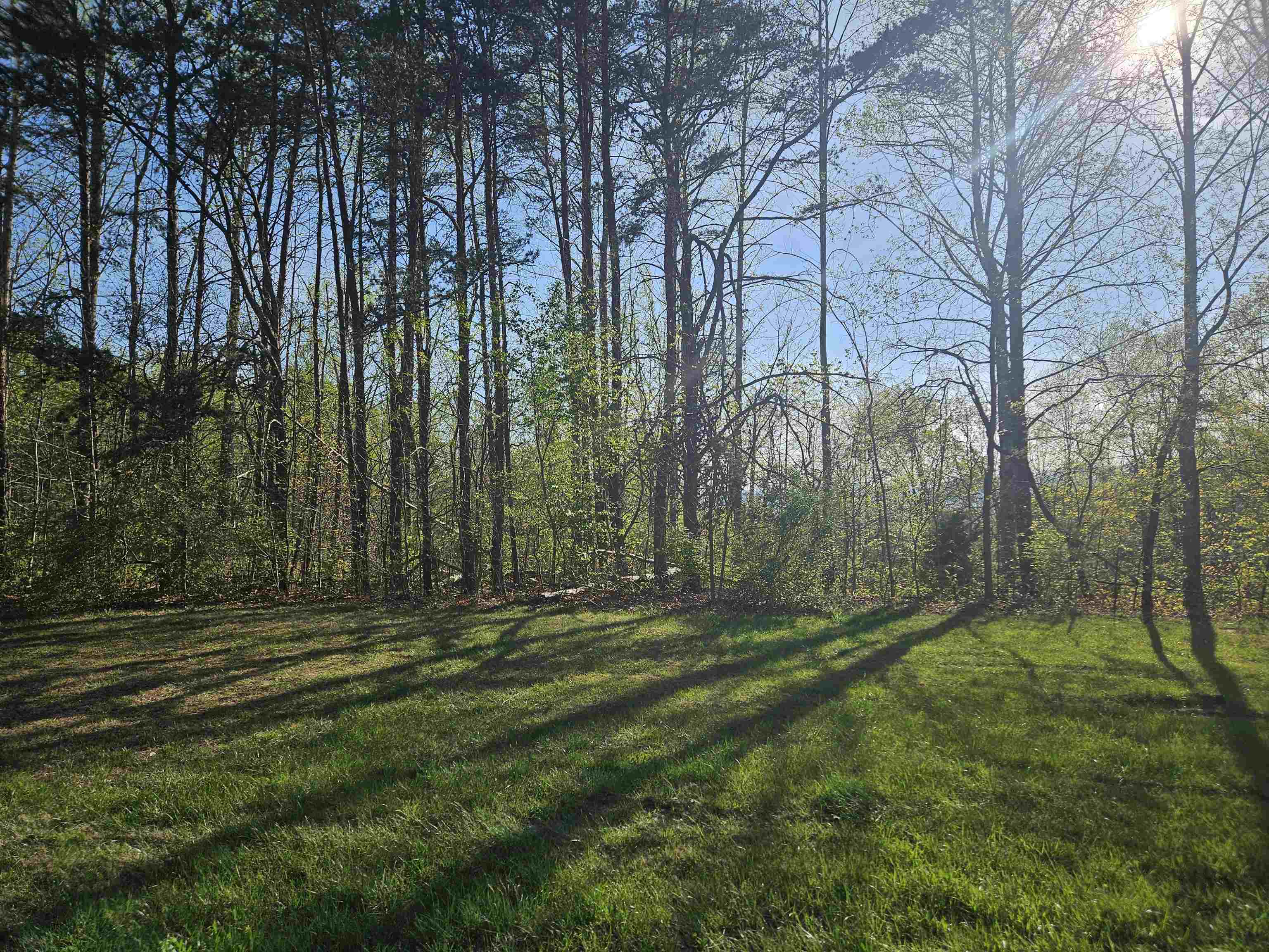 Tbd Woolwine Highway Woolwine VA 24185