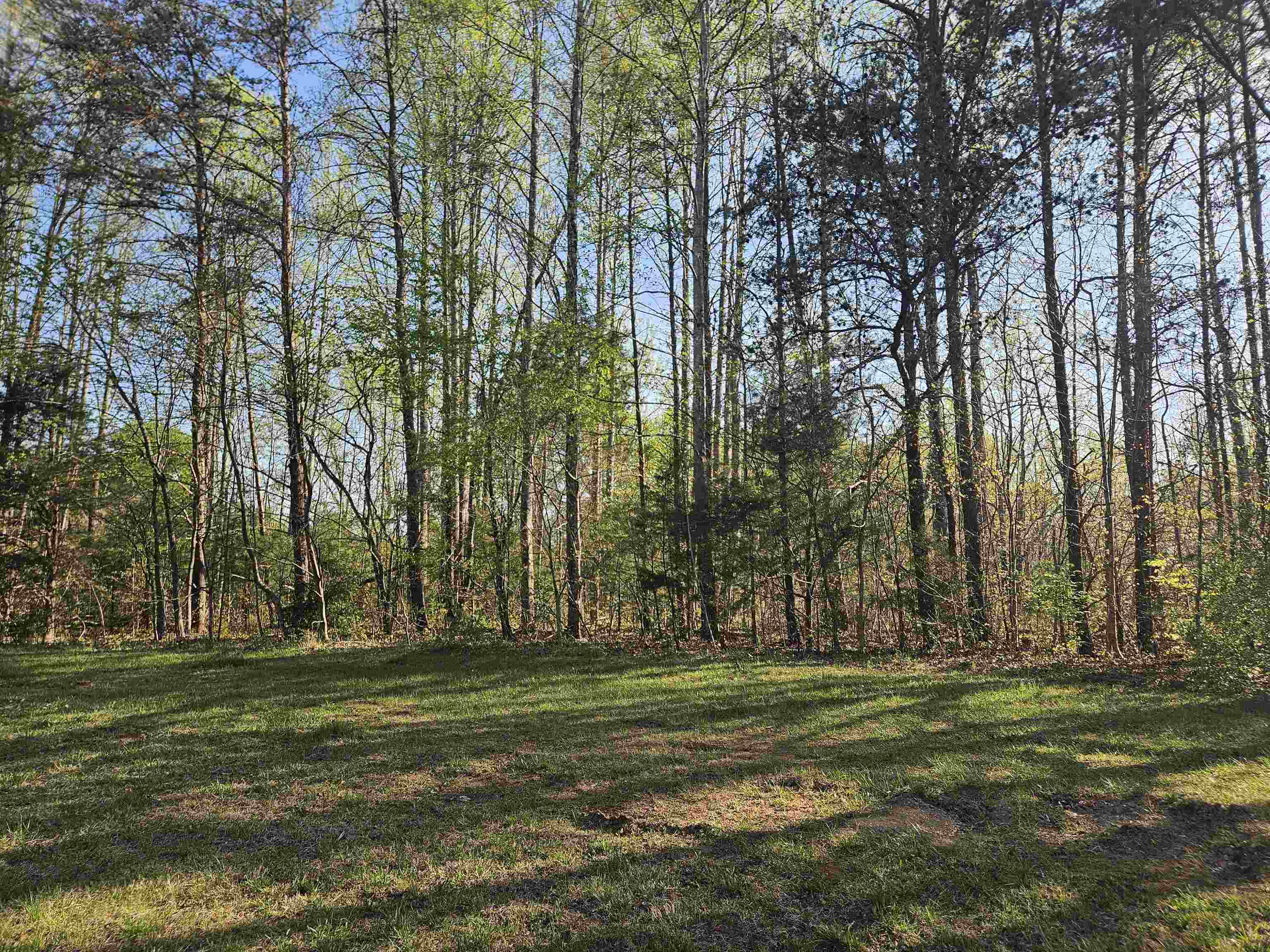 Tbd Woolwine Highway Woolwine VA 24185