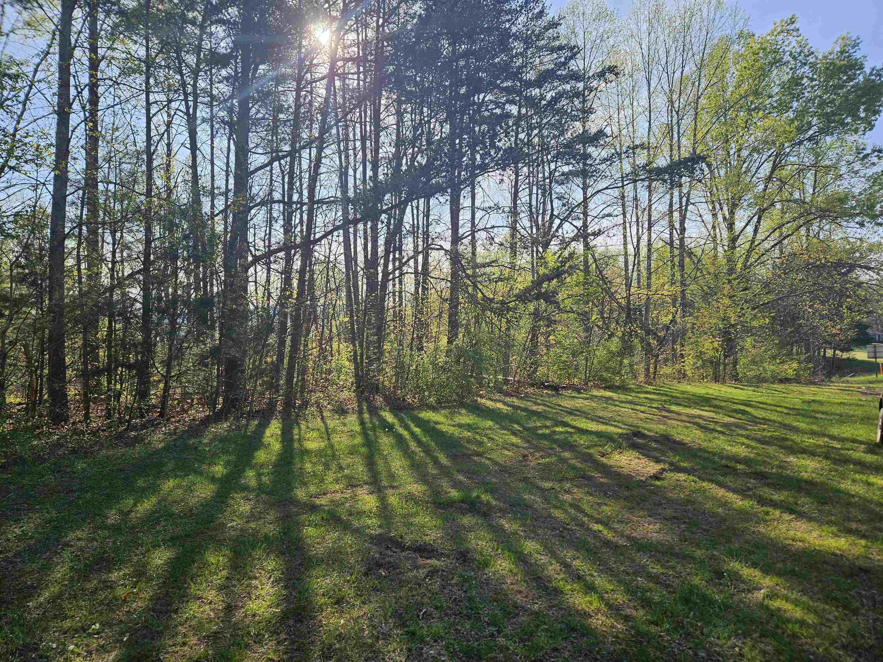 Tbd Woolwine Highway Woolwine VA 24185
