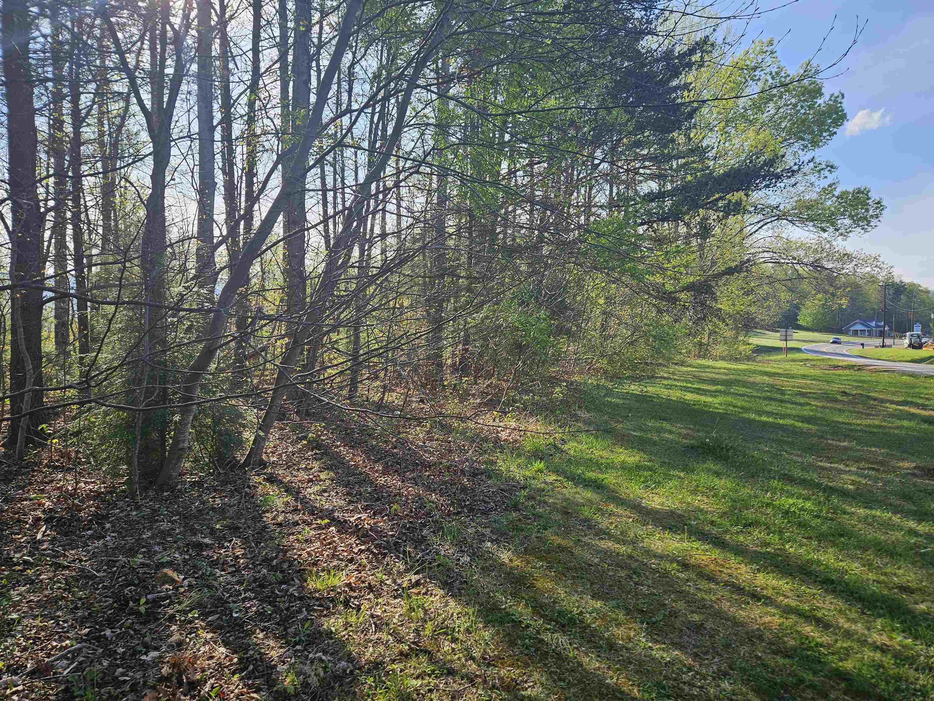 Tbd Woolwine Highway Woolwine VA 24185