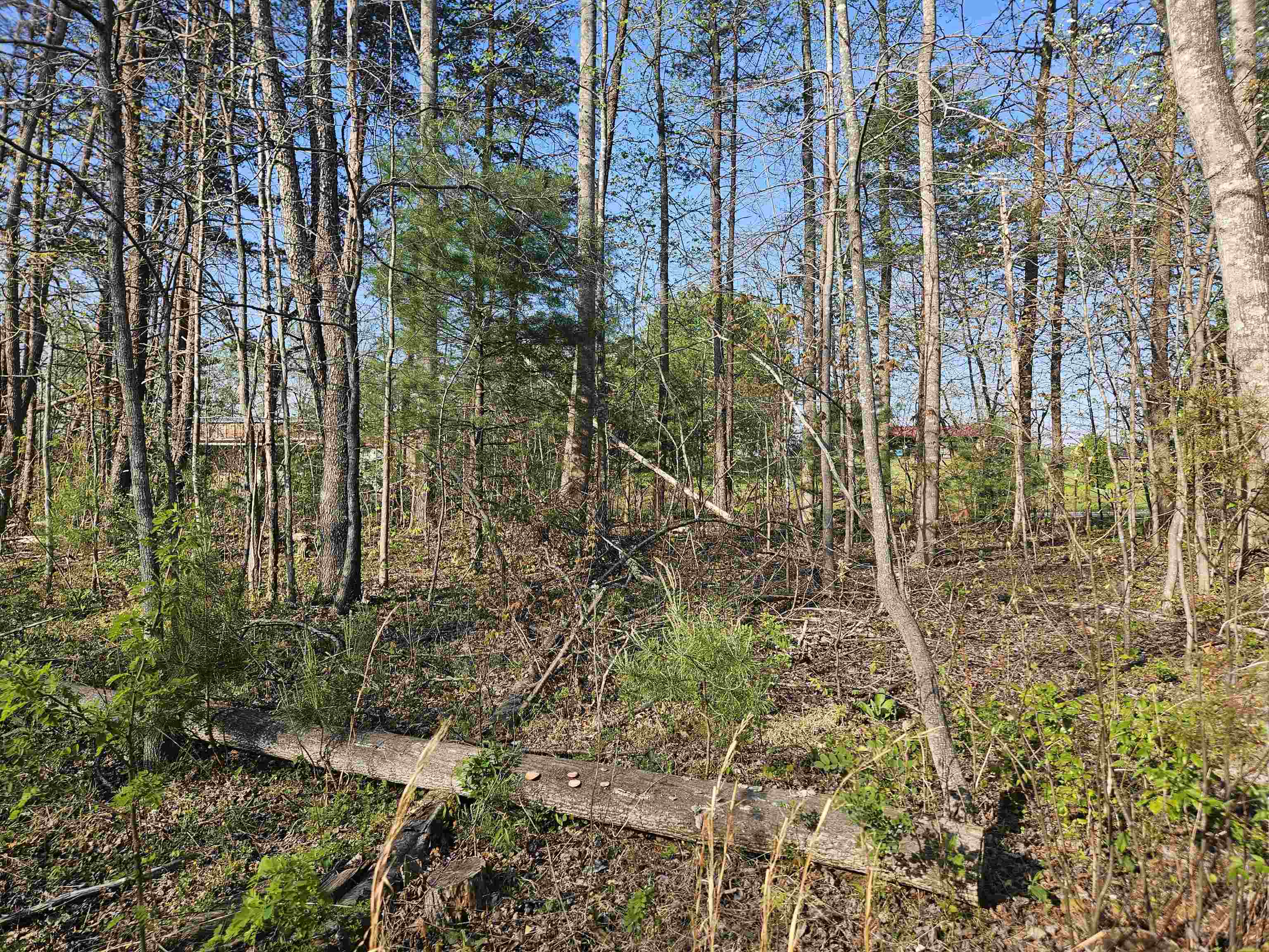 Tbd Woolwine Highway Woolwine VA 24185