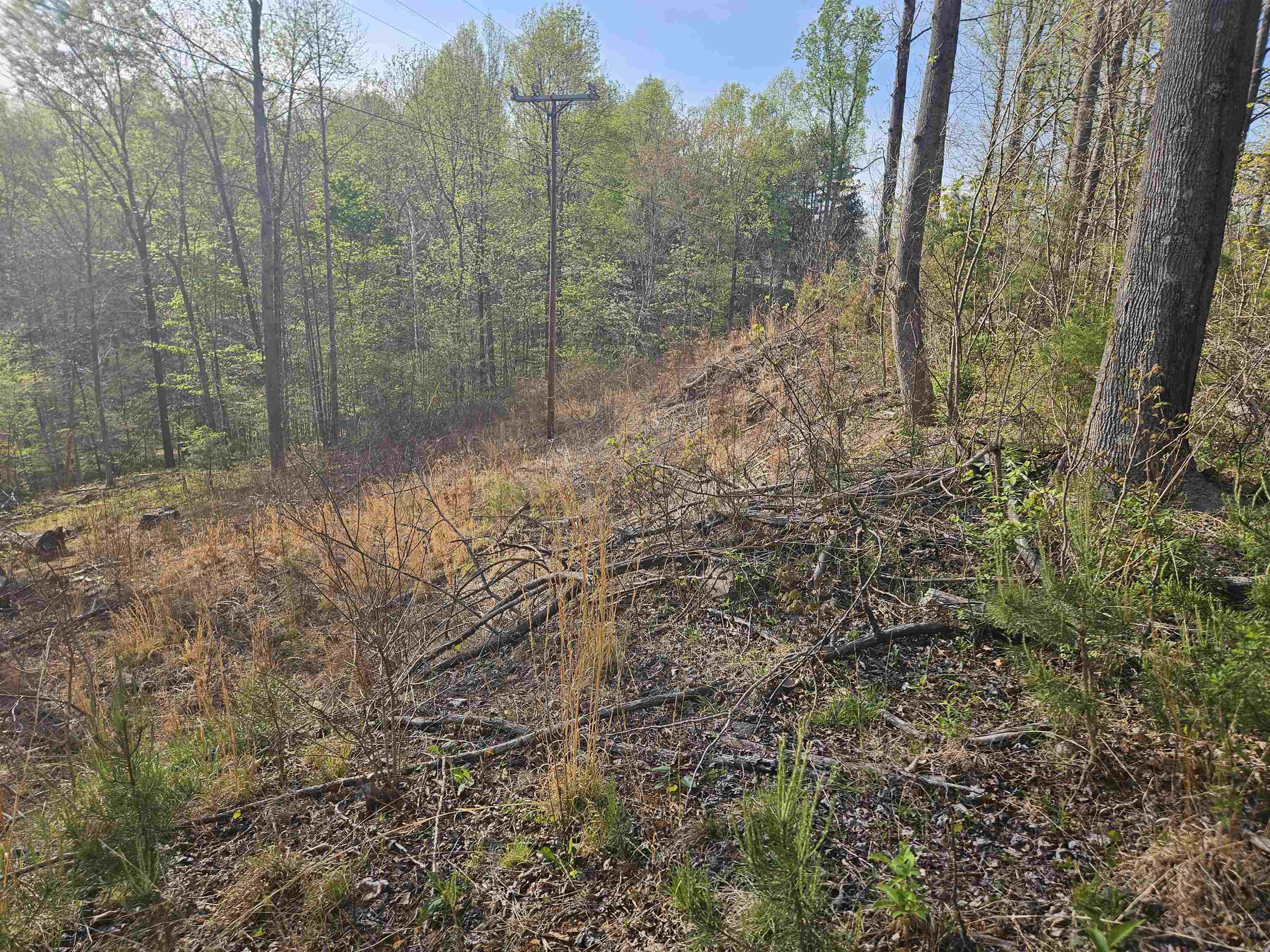 Tbd Woolwine Highway Woolwine VA 24185