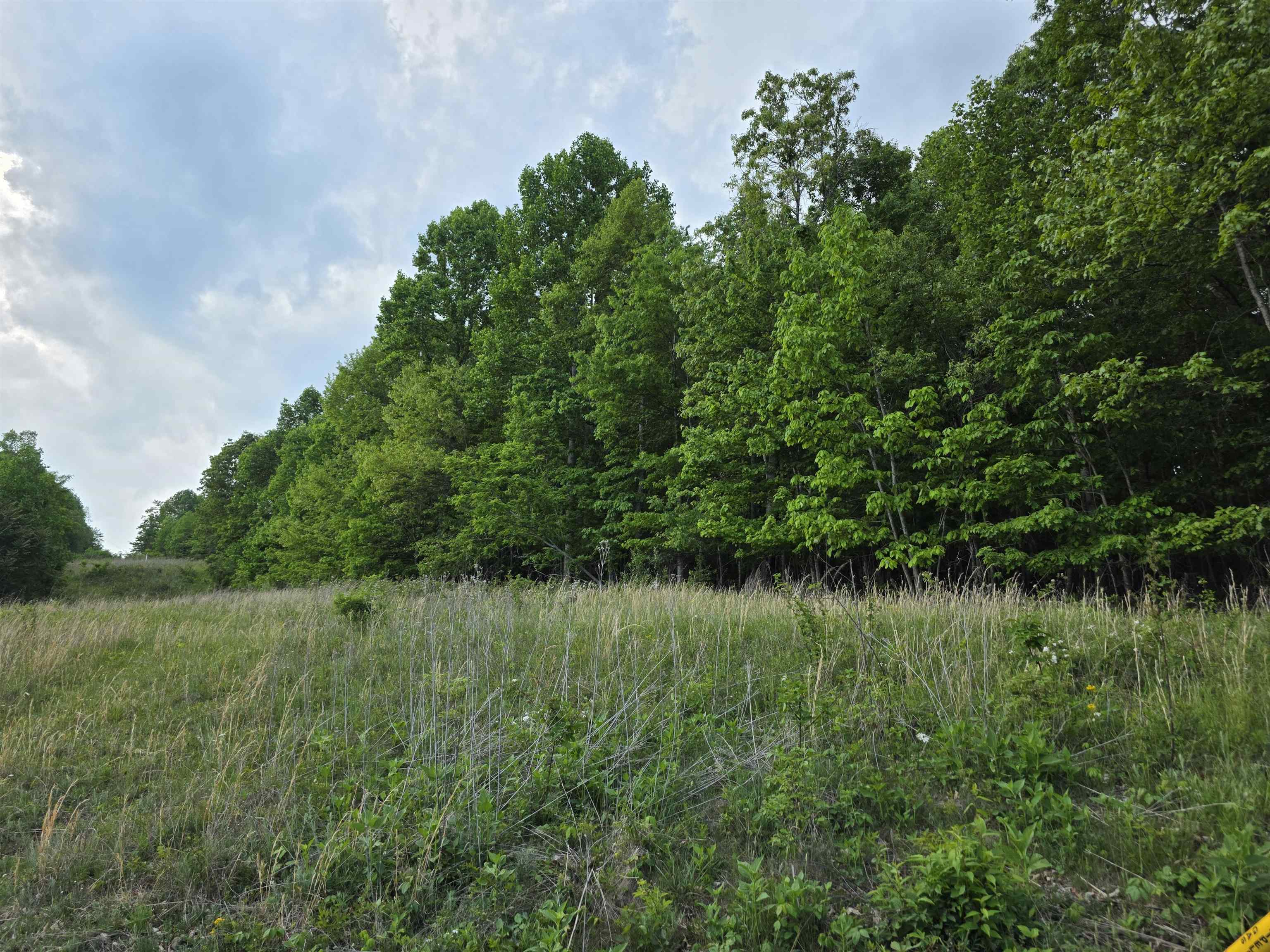 Tbd Bent Nail Road Hillsville VA 24343