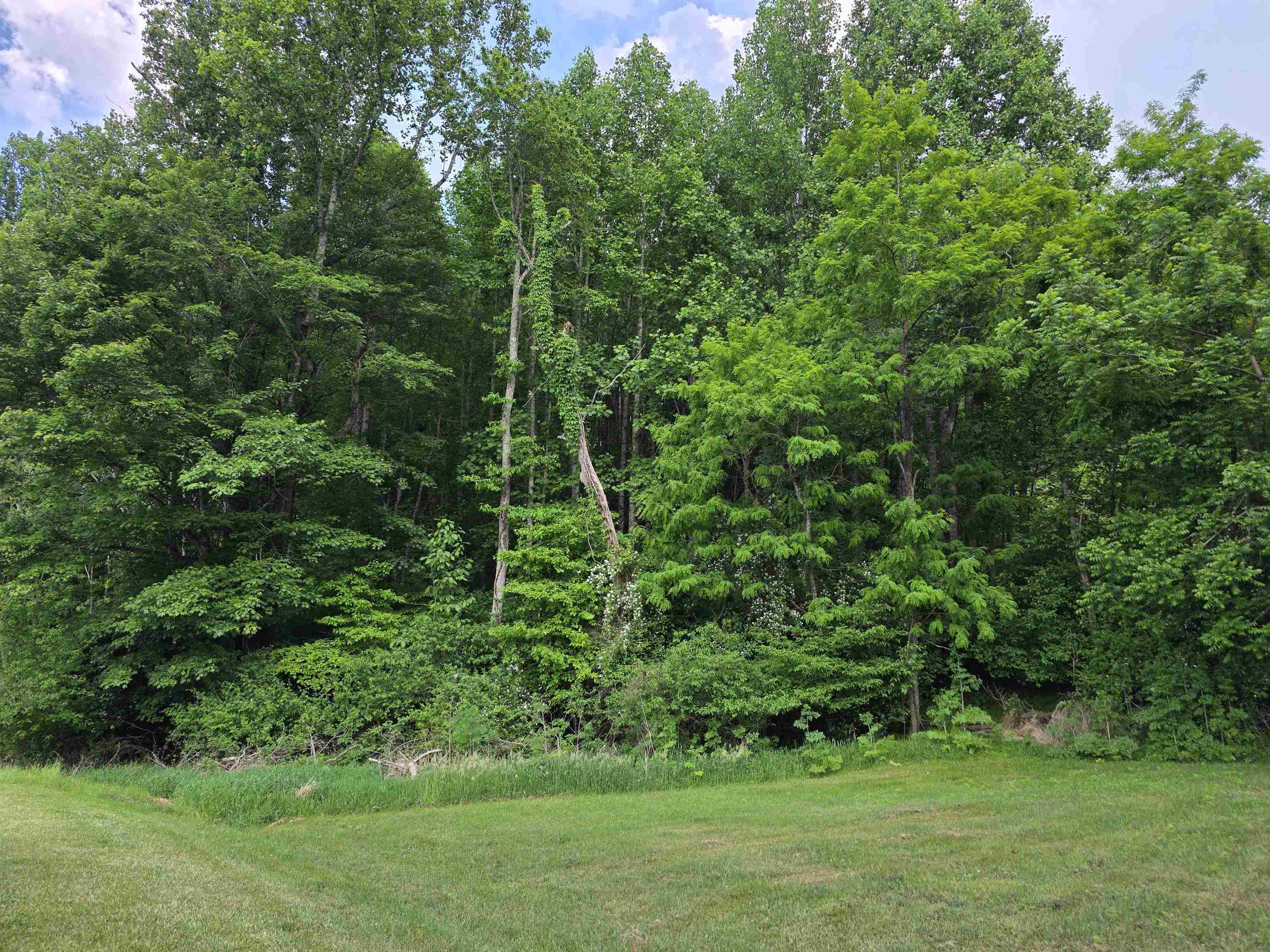 Tbd Bent Nail Road Hillsville VA 24343