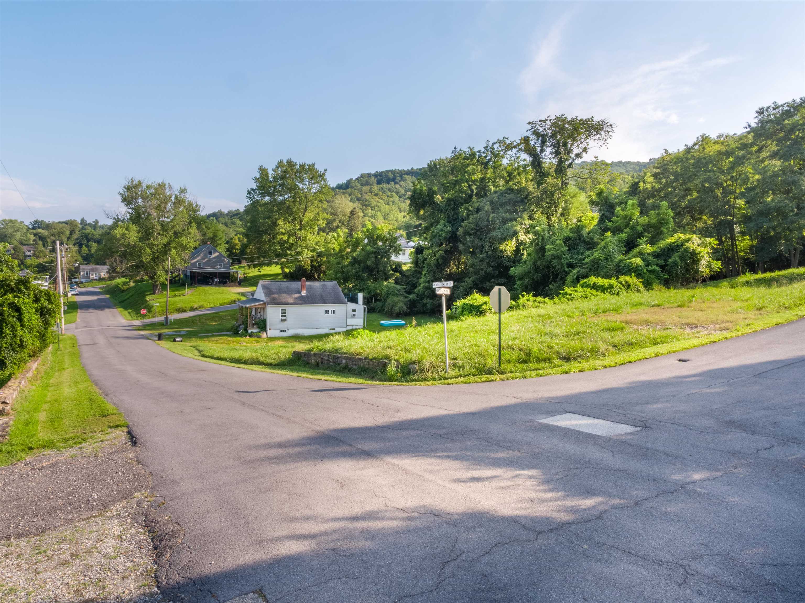 Tbd Montgomery Street Pearisburg VA 24134