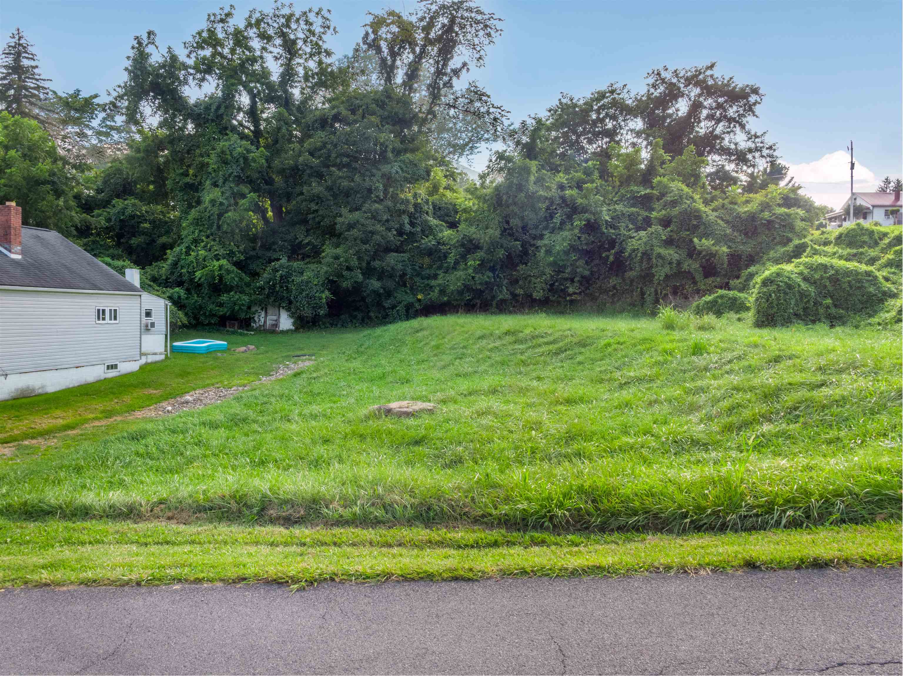 Tbd Montgomery Street Pearisburg VA 24134