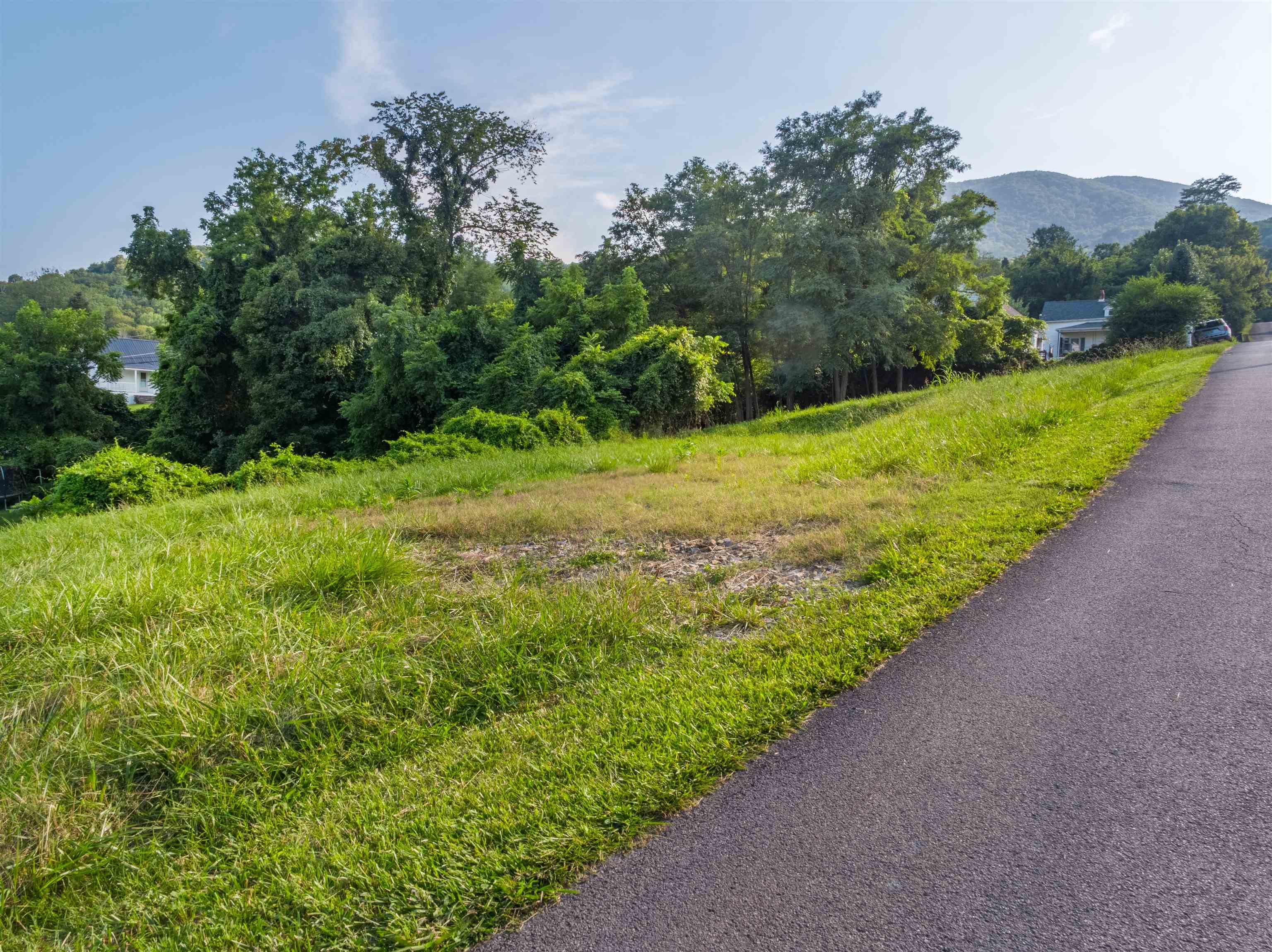 Tbd Montgomery Street Pearisburg VA 24134