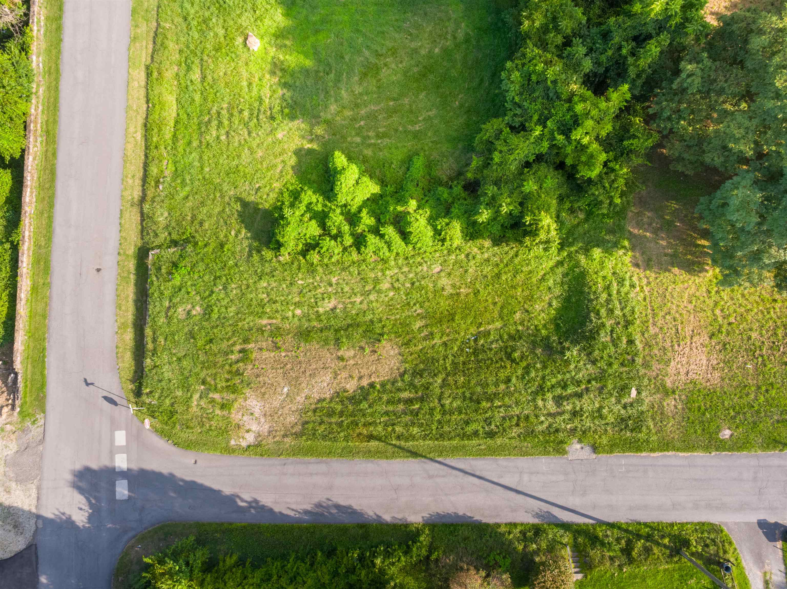 Tbd Montgomery Street Pearisburg VA 24134