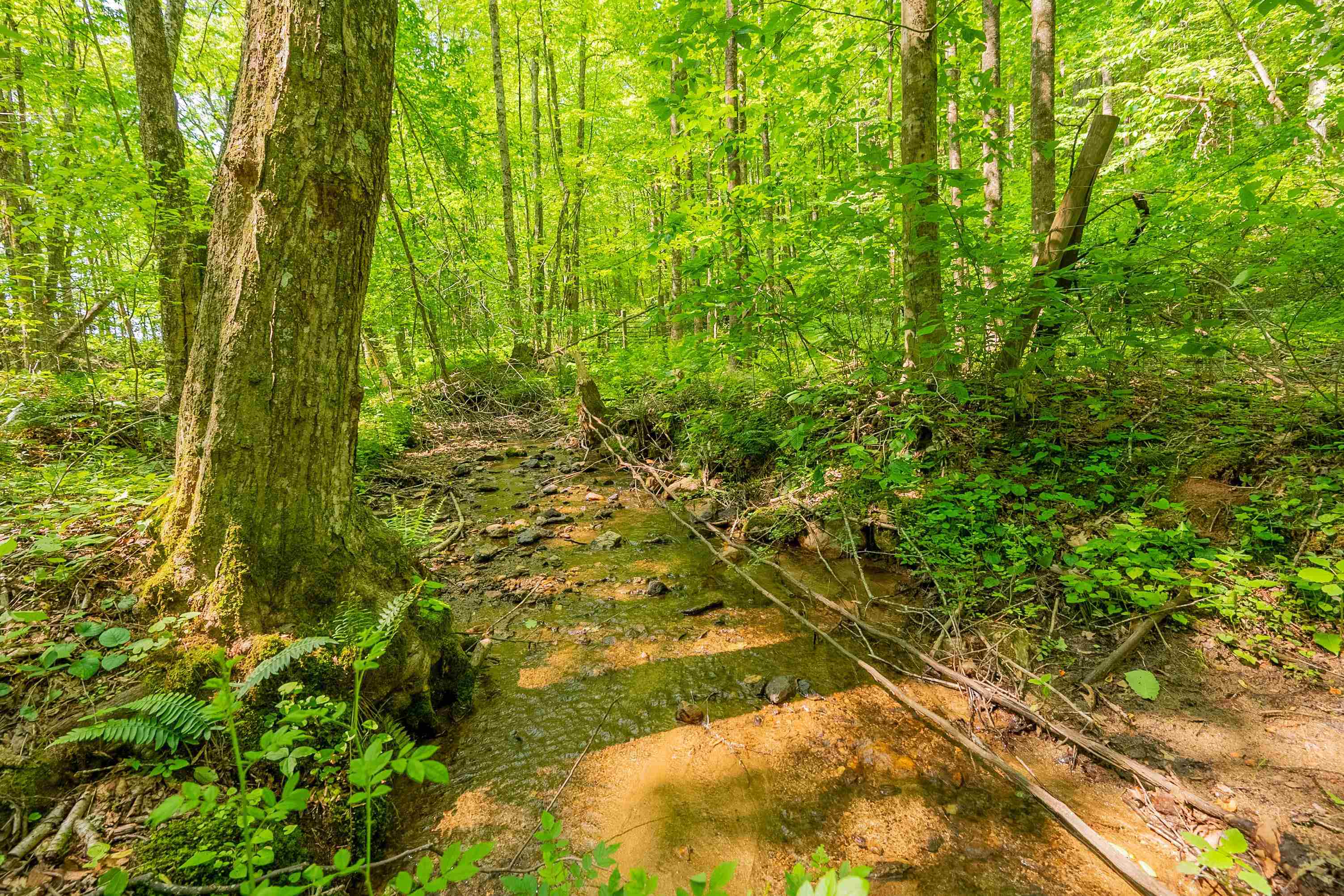 Tbd Danville Pike Laurel Fork VA 24352