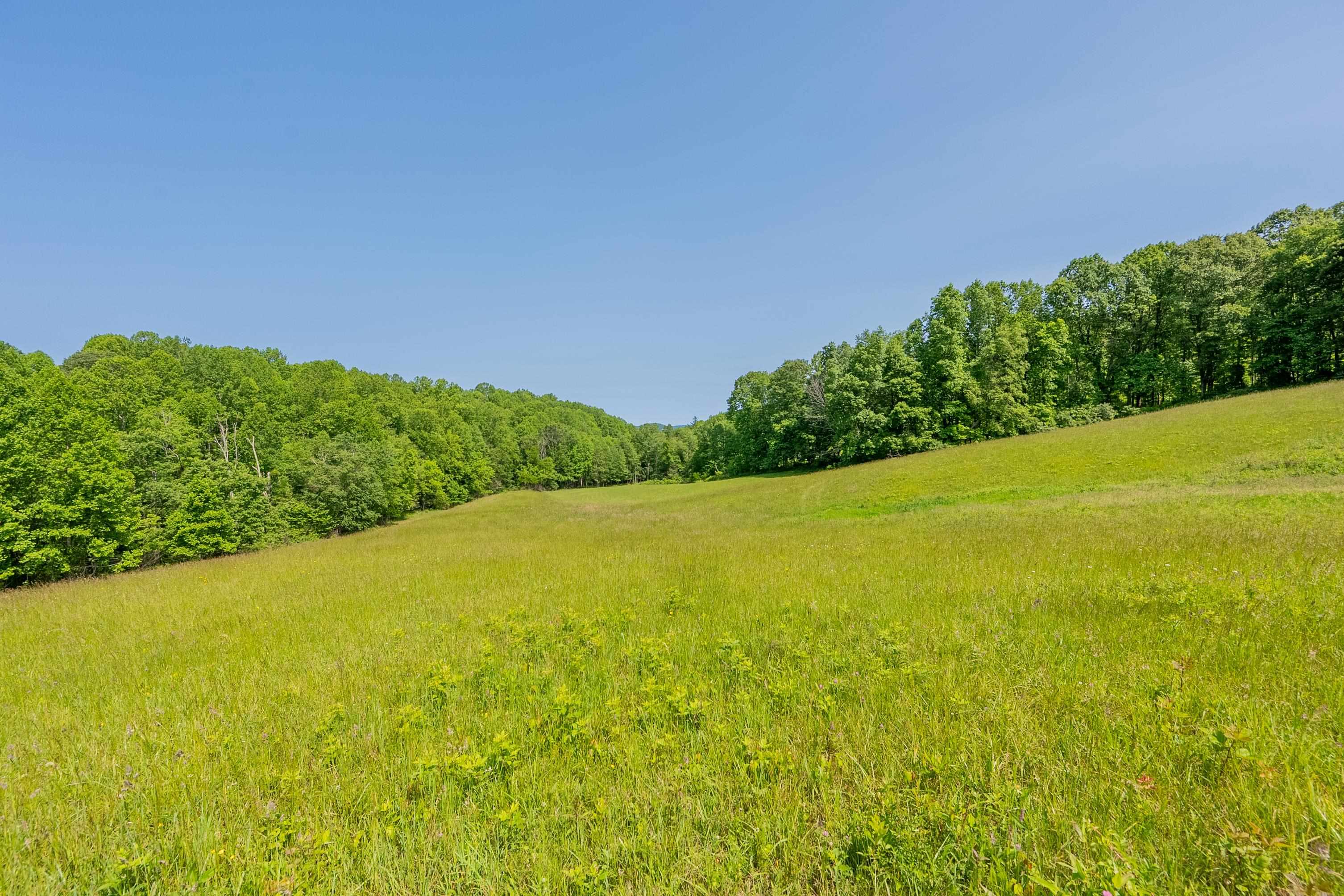 Tbd Danville Pike Laurel Fork VA 24352