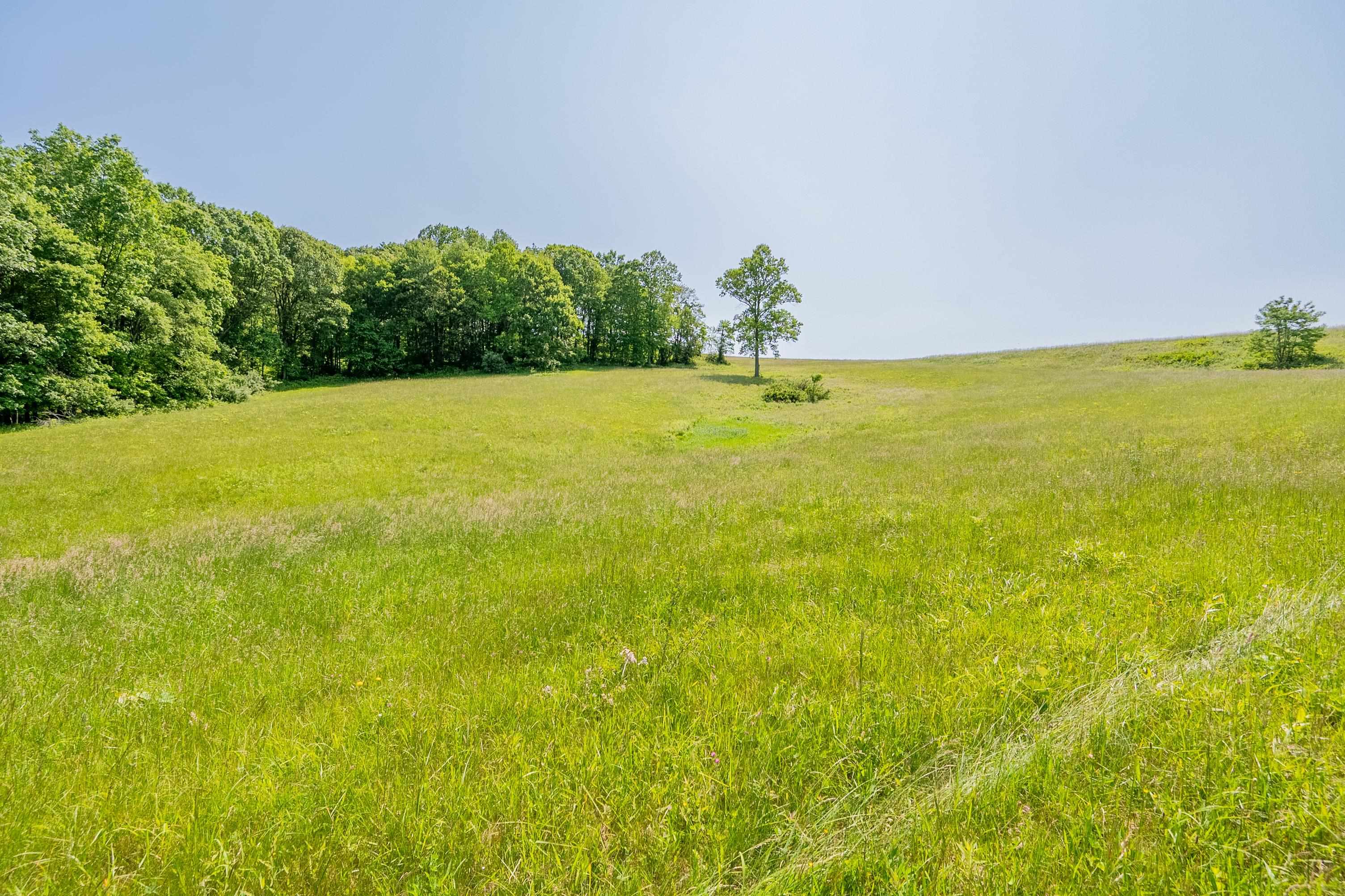 Tbd Danville Pike Laurel Fork VA 24352