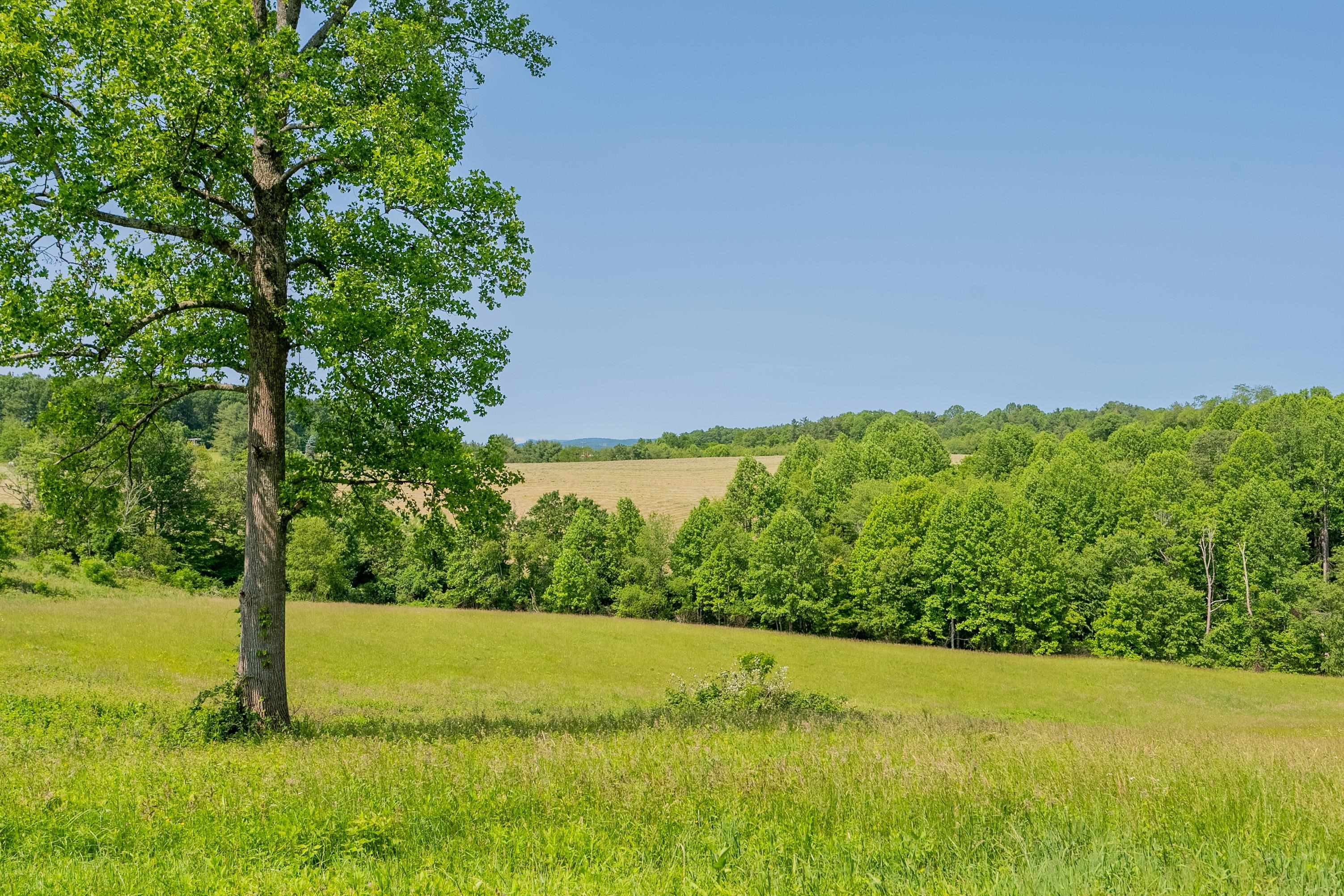 Tbd Danville Pike Laurel Fork VA 24352