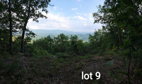 3280 Reese Mountain Road Elliston VA 24087