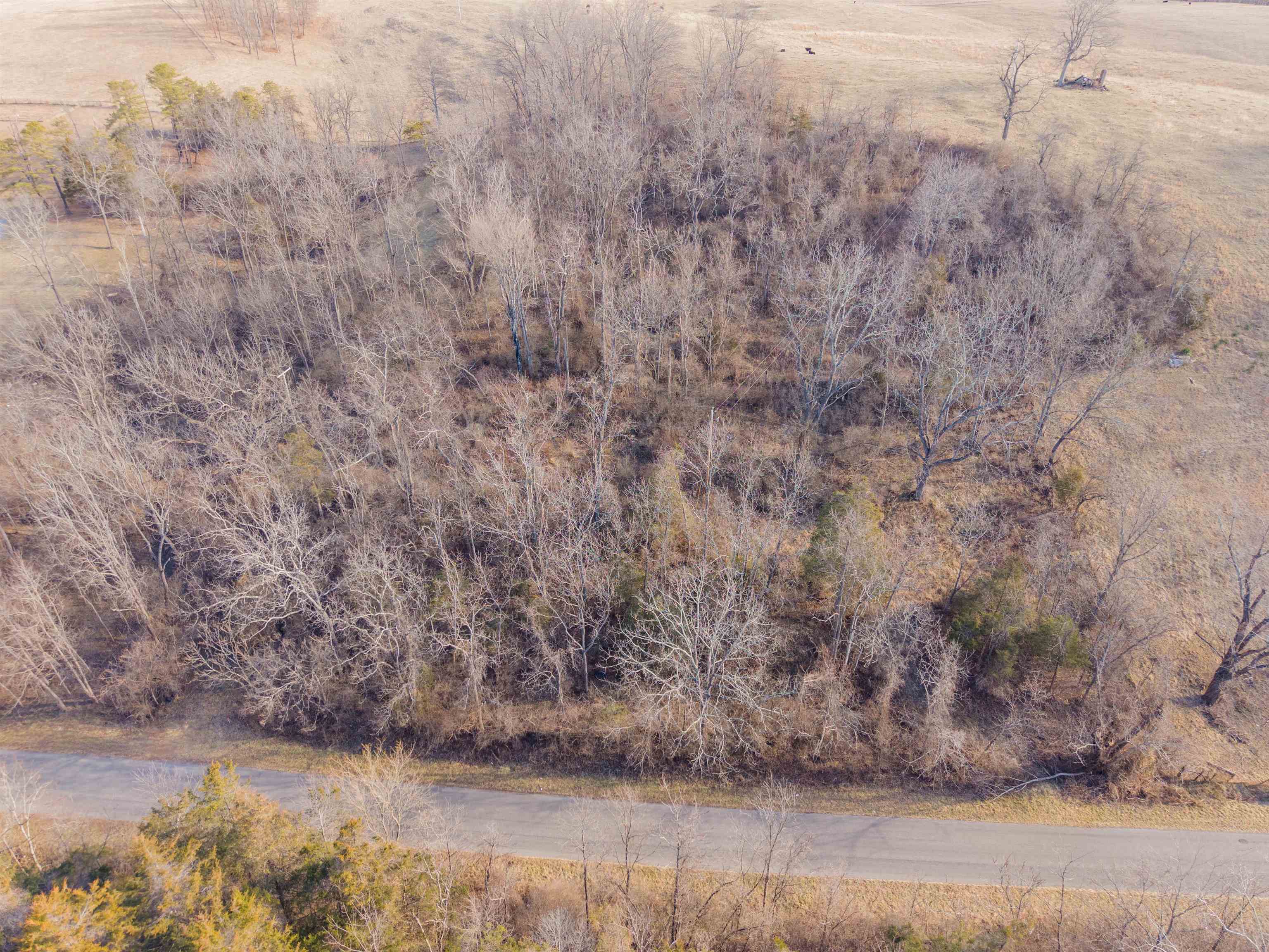 Tbd Towes Ferry Road Dublin VA 24084