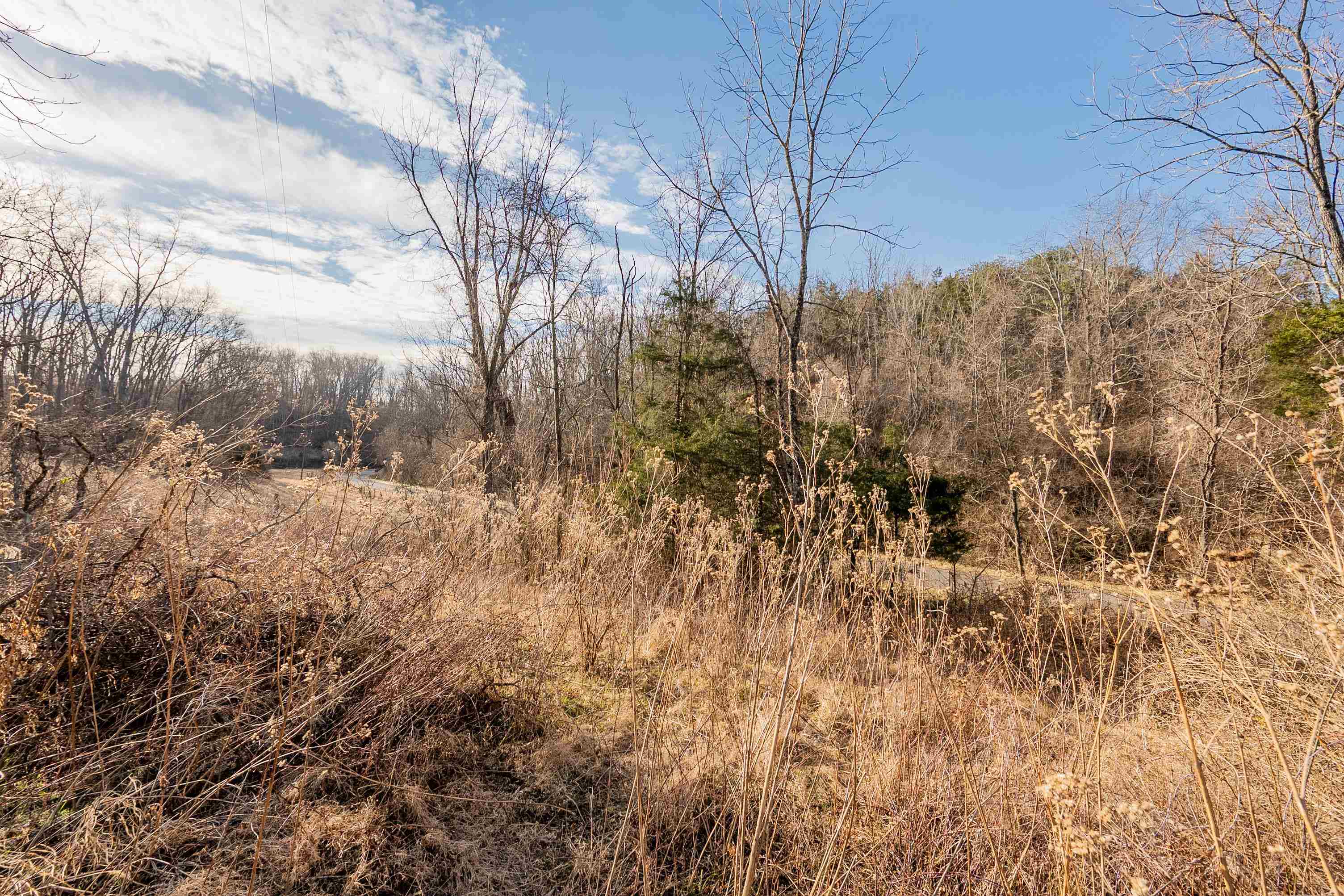 Tbd Towes Ferry Road Dublin VA 24084